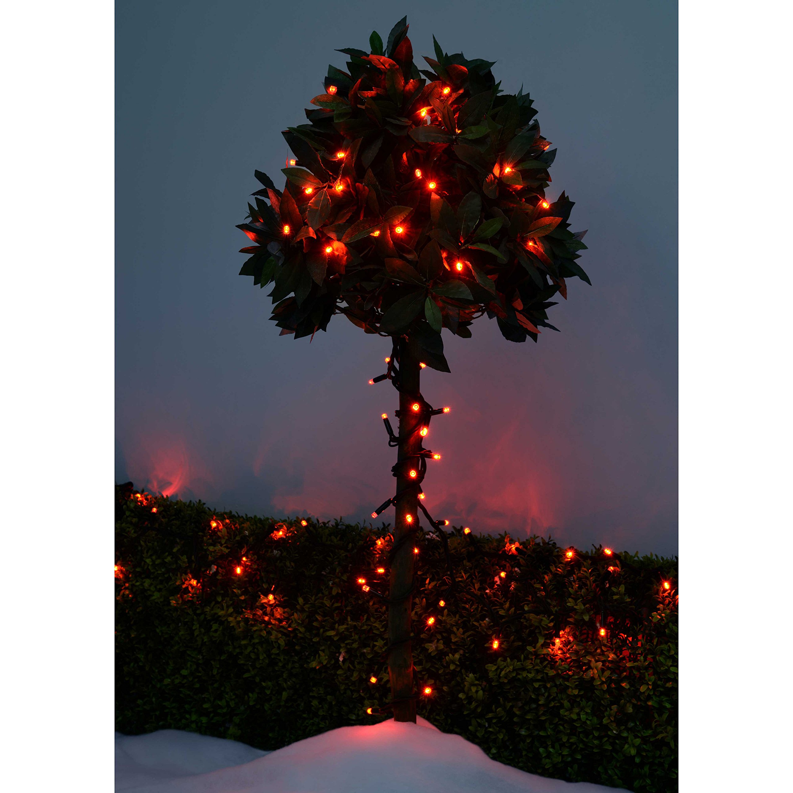 WeRChristmas Connectable Static LED String Lights with 2 Pin Male and Female Connector, 10 m - 100-LED, Red - Image 4