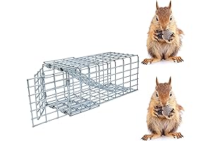 One Way Door for Squirrels