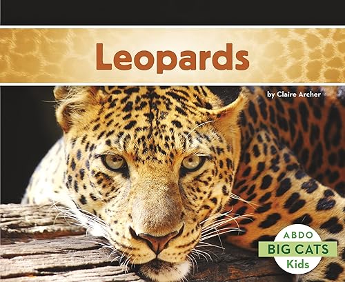 Miniatura 4 de Paquete de lectura para principiantes de Wild Cats Explora el mundo de gatos, leones, jaguares, guepardos y leopardos - 4 libros atractivos para