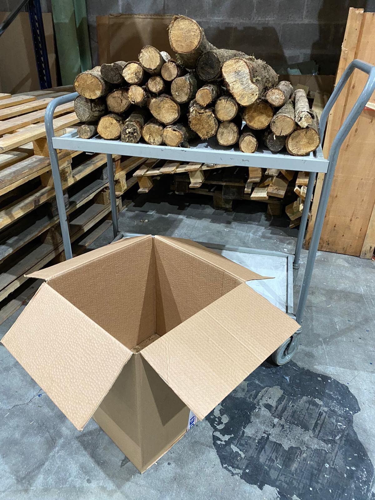 Jandei - Leña de Roble (24Kg) Tronco Mediano 30-40cm. Totalmente Seca, para Chimeneas, Barbacoas, Calderas, Estufas y Cocinas. Origen España, Marrón, JNM-0001