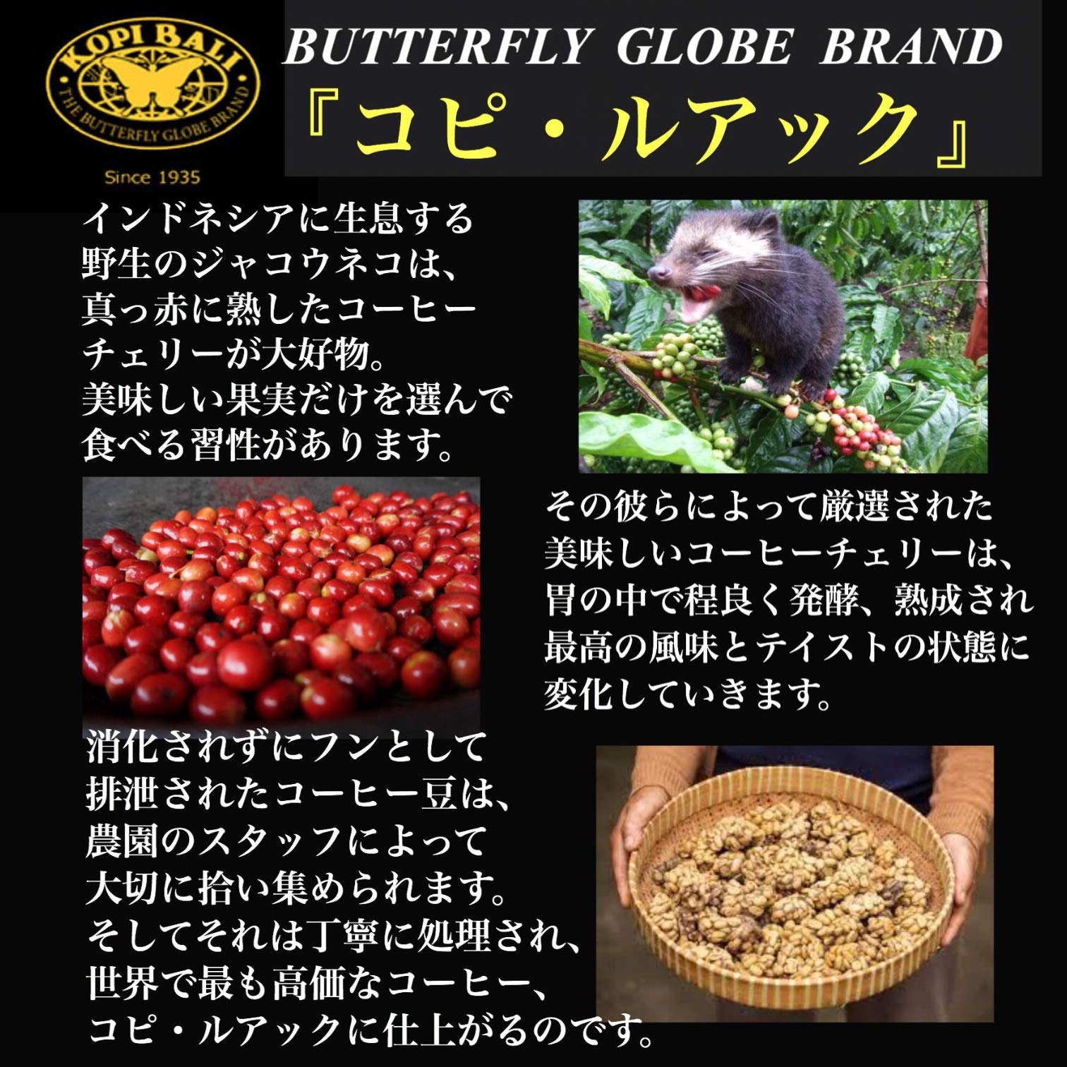 [豆のまま / 50g] 魅惑のコーヒー豆 焙煎 コピ・ルアク KOPI LUWAK