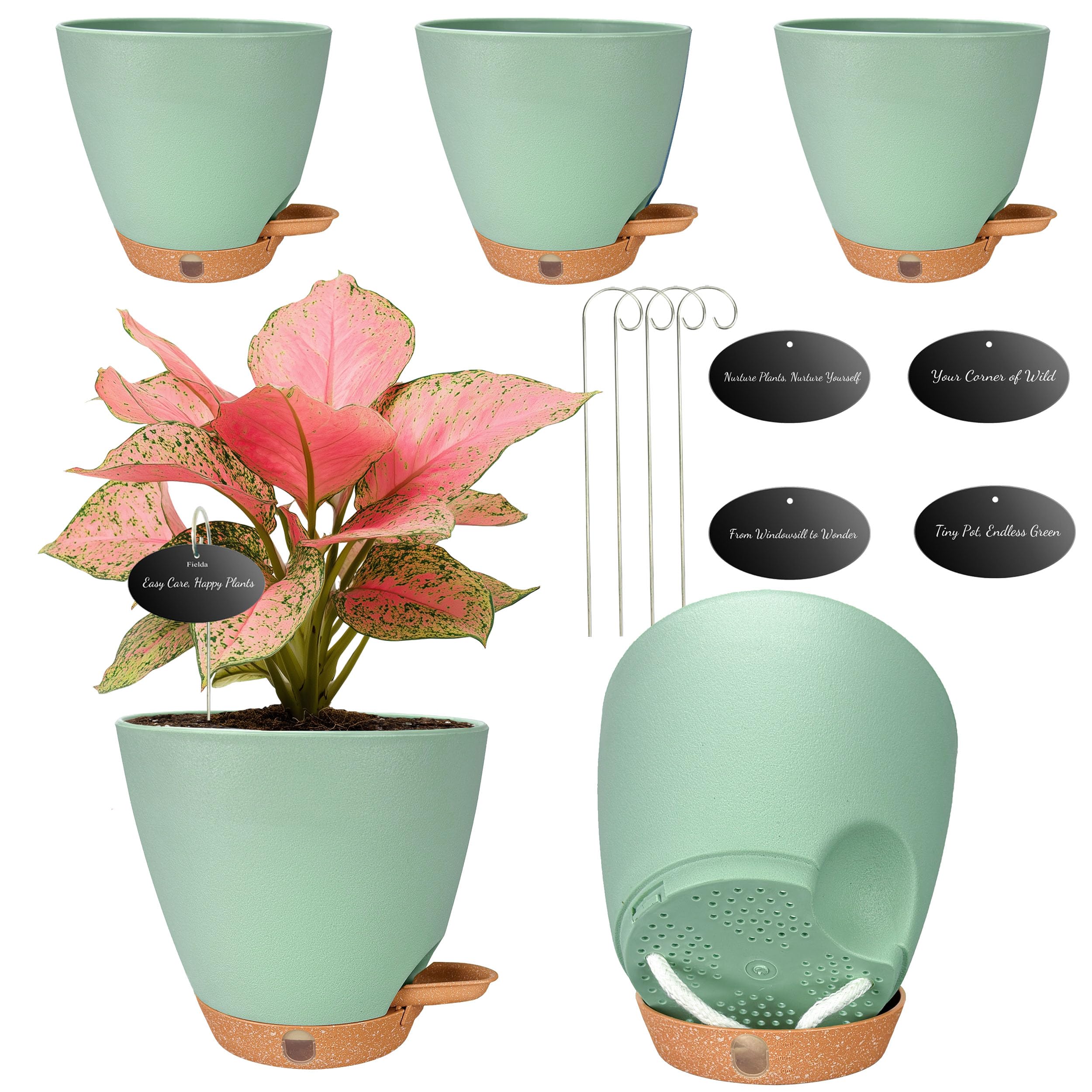 Fielda 6 inch self watering pots 5 pack