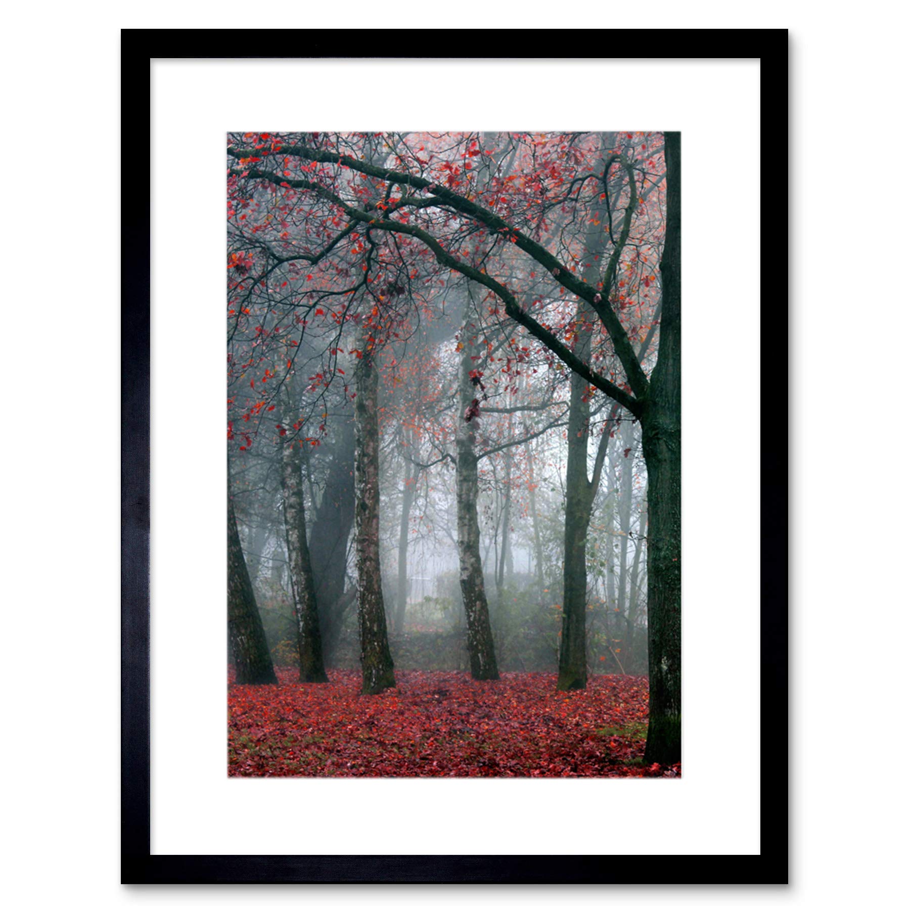 Wee Blue Coo Nature Forest Tree Autumn Fall Beautiful Red Framed Wall Art Print