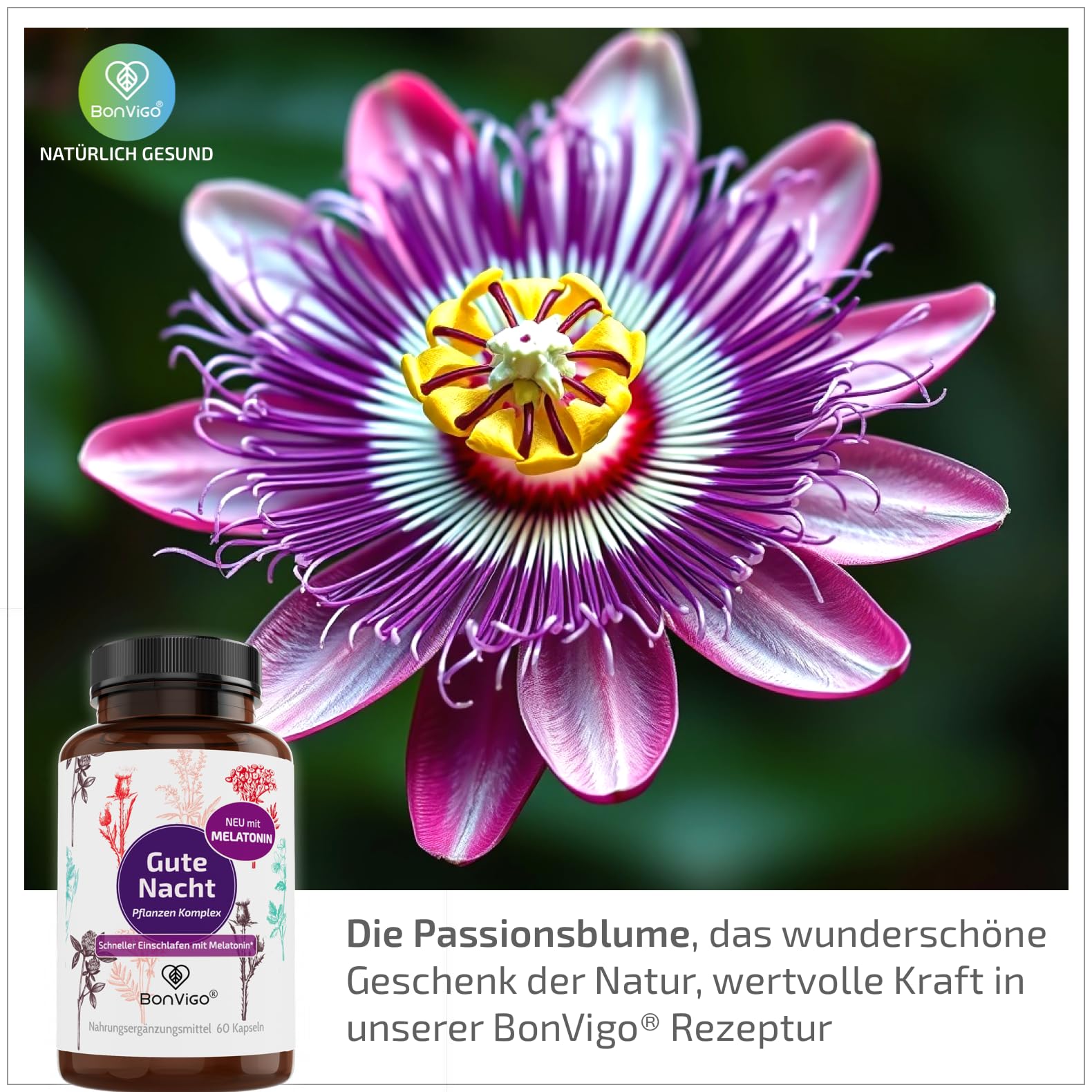 Gute Nacht Kapseln - Jetzt verbessert: Schneller einschlafen mit Melatonin* - Wertvolle Pflanzen-Extrakte Passionsblume und Baldrian - B-Vitamine für Nerven, Herz, Hormone** (2)