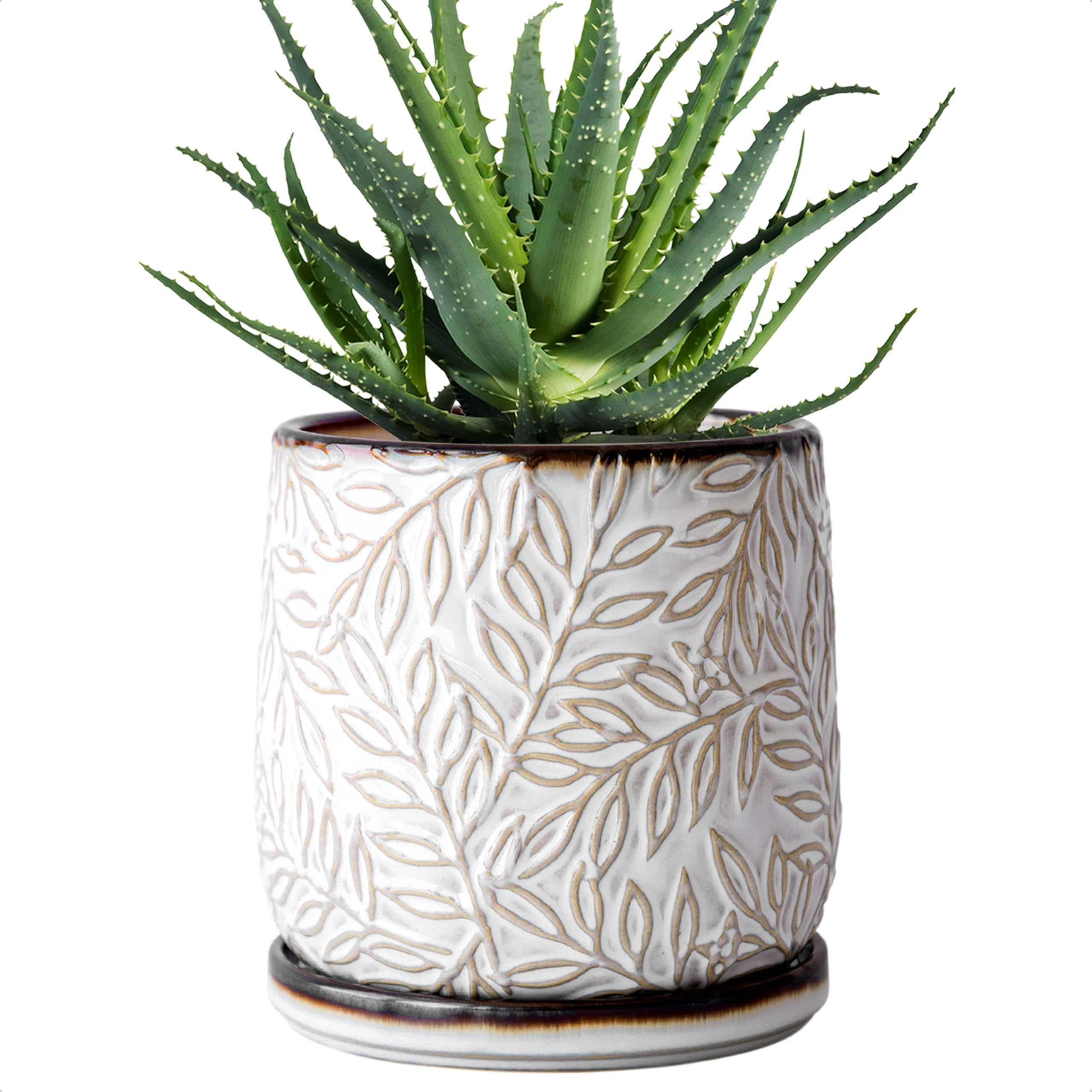 D'vine Dev 6 Inch Embossed Leaves Stoneware Planter