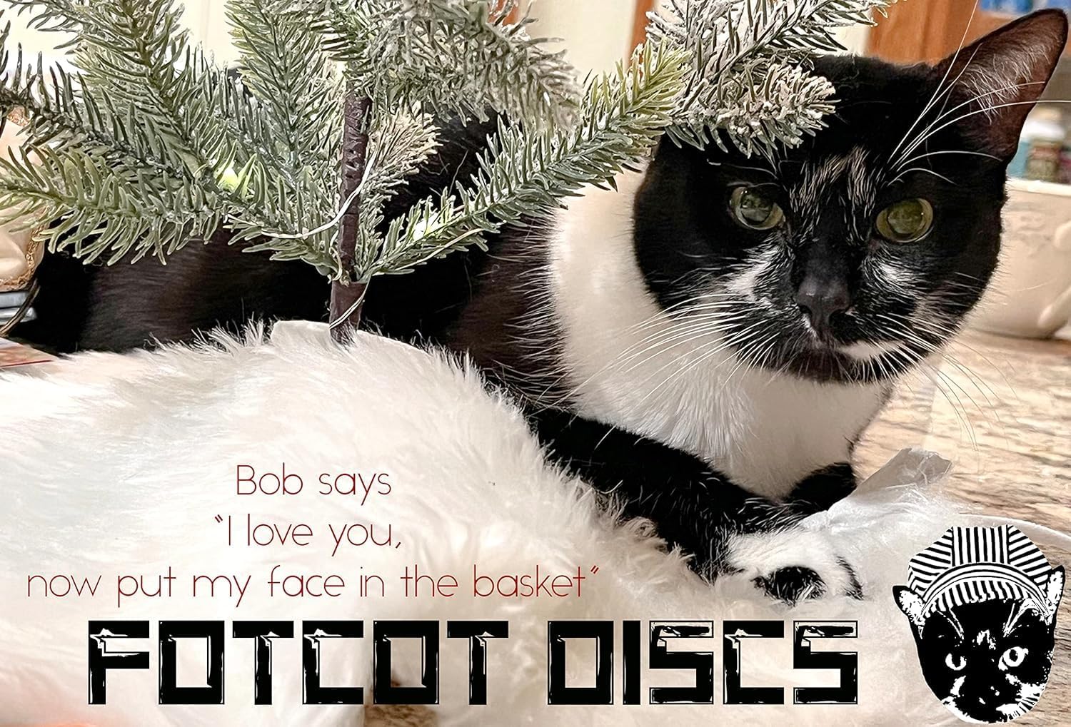 GlowBob Glow in The Dark Midrange Disc Golf Night Light Up Grip PDGA Approved Premium Plastic Recharge Cat Bob Stamp Black Blue Flashlight Combo Packs (GlowBob Black + Jumbo Flashlight)