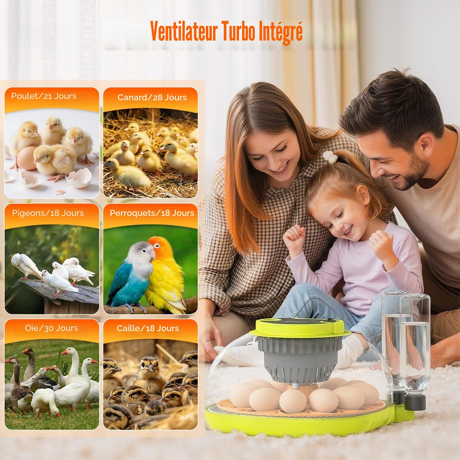 Couveuse Oeuf Automatique 12 Œufs, avec Alimentation en Eau, Retourneur Œufs Automatique, Contrôle Température et Humidité, Testeur Œufs, Vision à 360°, pour Poules, Cailles et Canards (B)