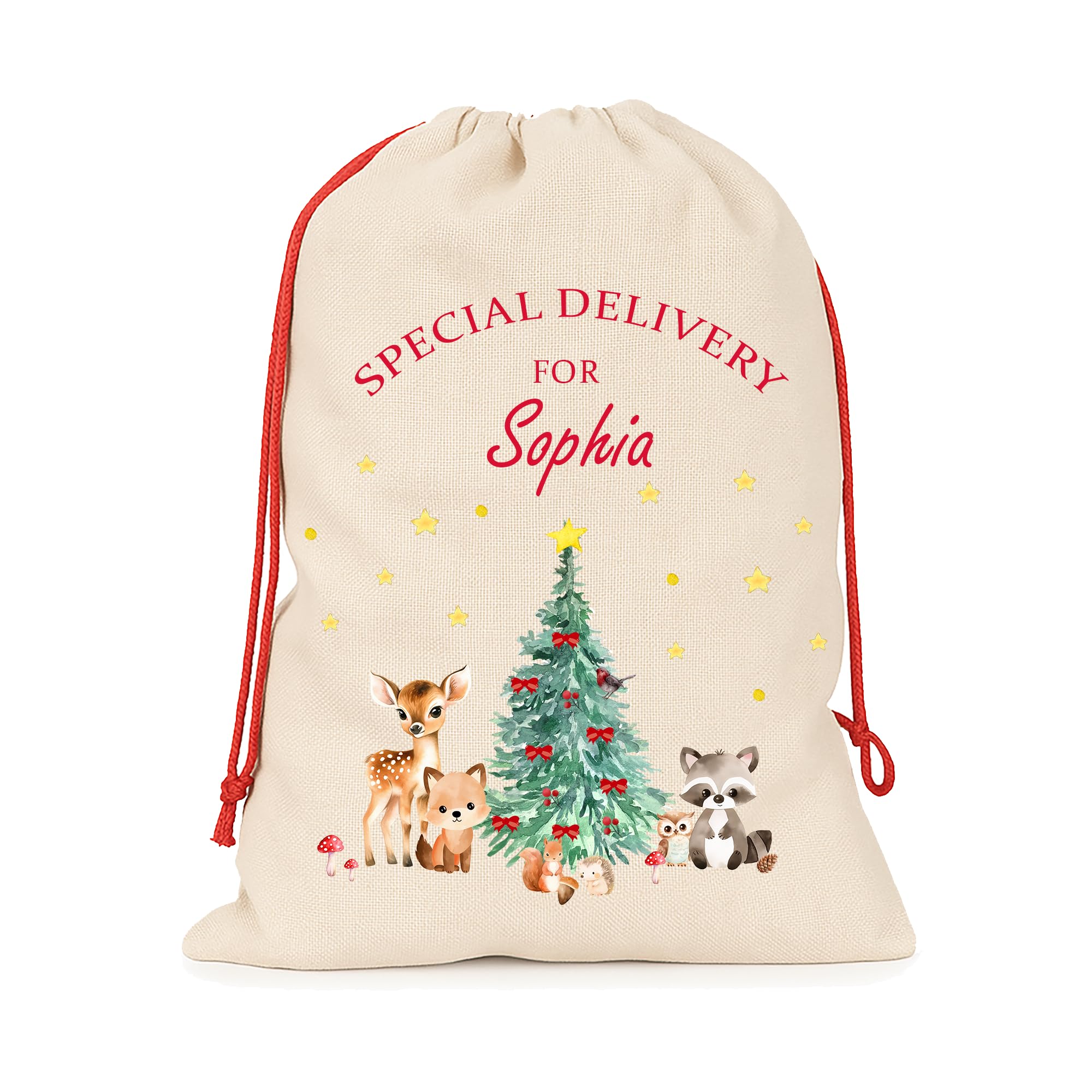 Chicken Craft Personalised Large Santa Sack with Custom Name - Christmas Sack for Presents - Xmas Gift Bag for Under Tree - Christmas Eve Bag (Woodland Animals, Large)