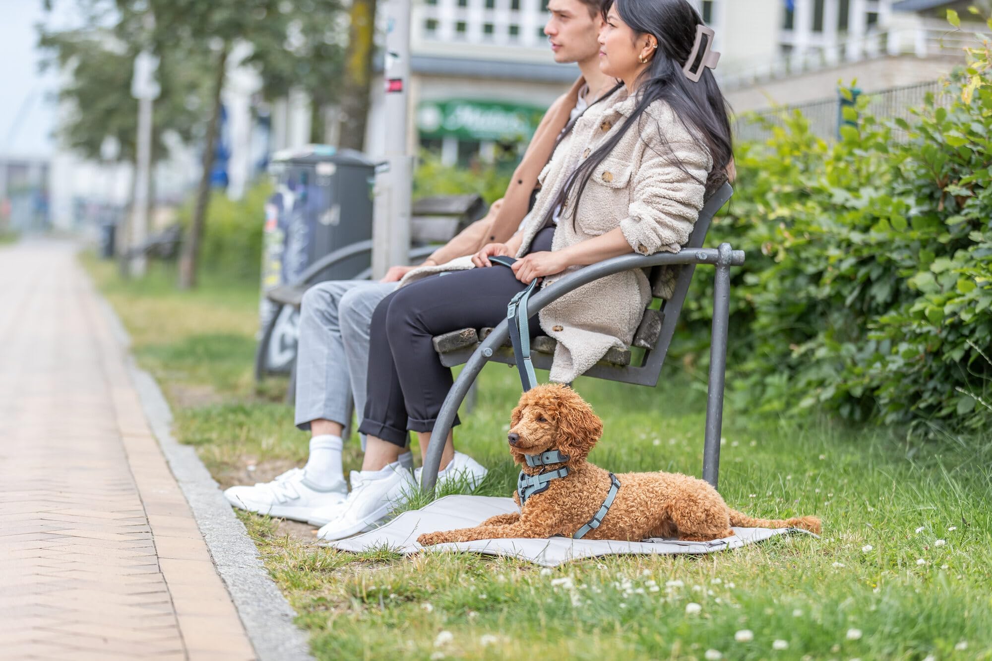TRIXIE Citystyle V-dog lead, adjustable canvas & polycotton lead, comfortable grip, 3 position settings, m-l size - Image 4