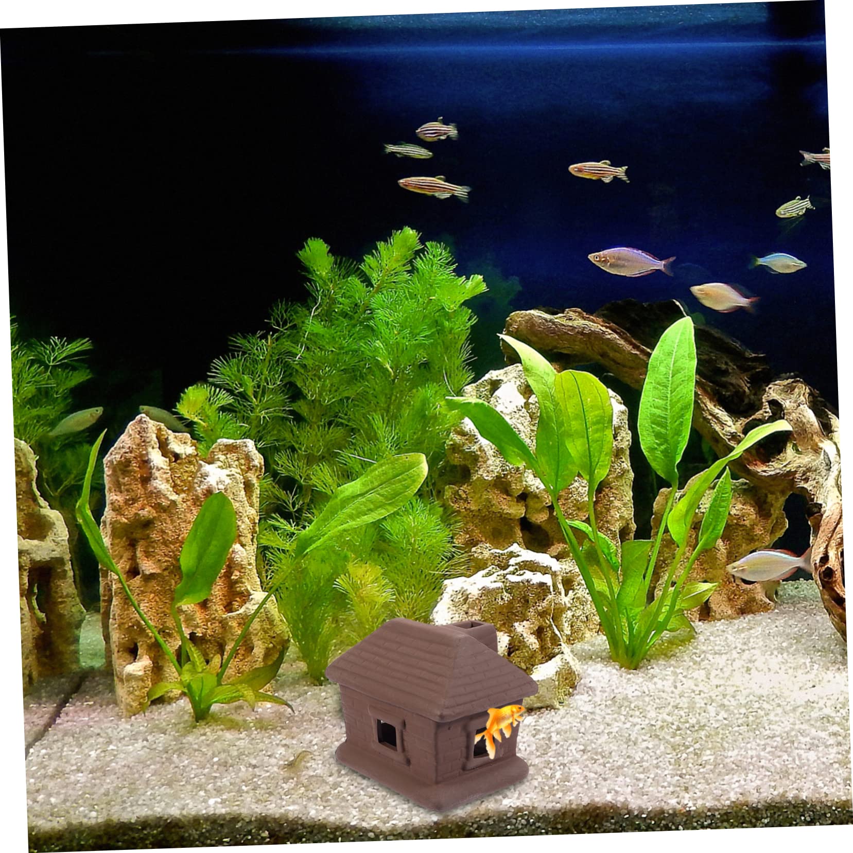 Sosoport 3stücke Aquarium Dekoration Fischhöhle Für Zucht Und Versteckmöglichkeiten Im Fischbecken Lebensnahe Gestaltung Für Aquarienlandschaften Für Fische Und Garnelen