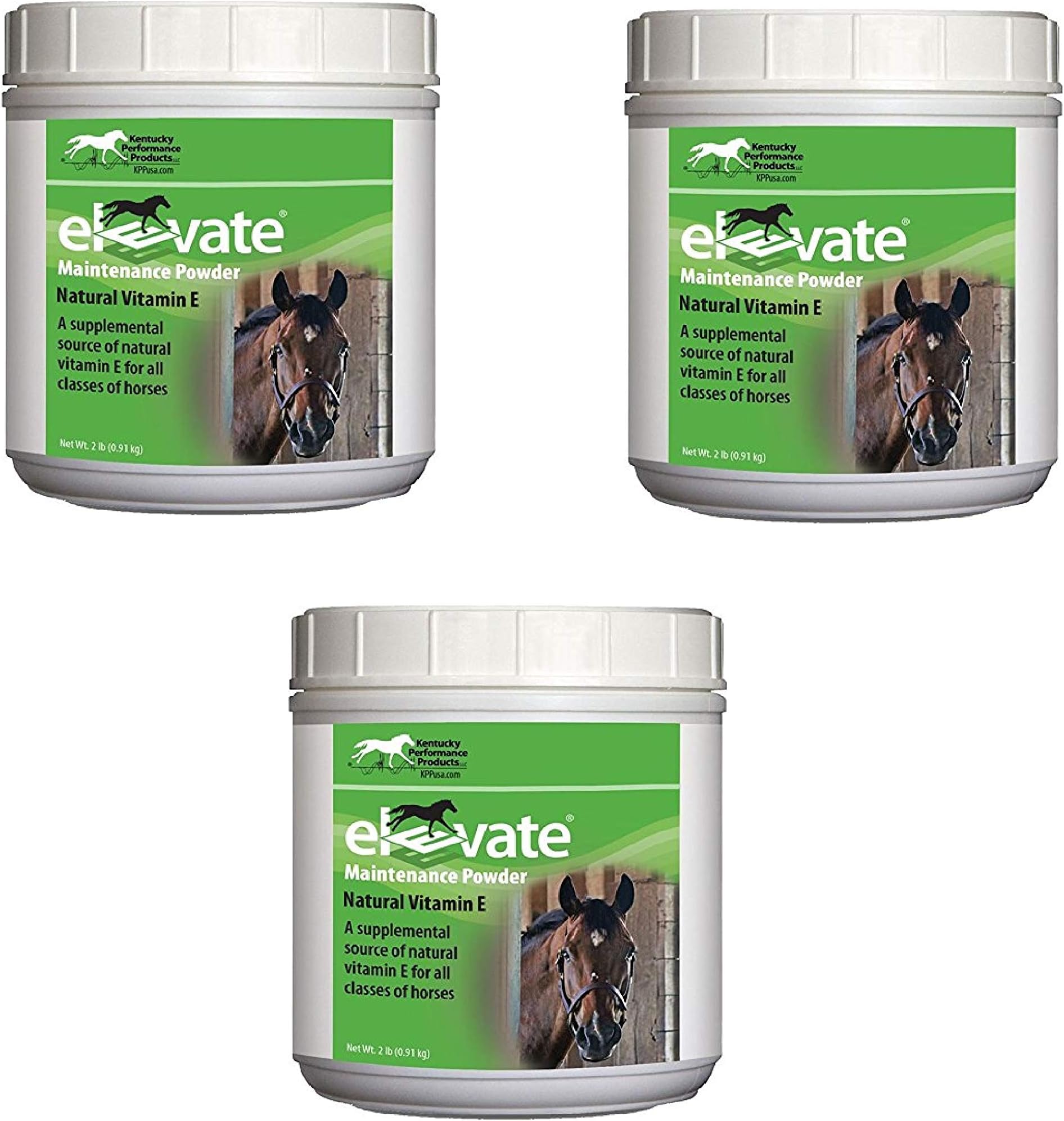Kentucky Performance Prod 044097 Elevate Maintenance Powder Supplement for Horses, 2 lb