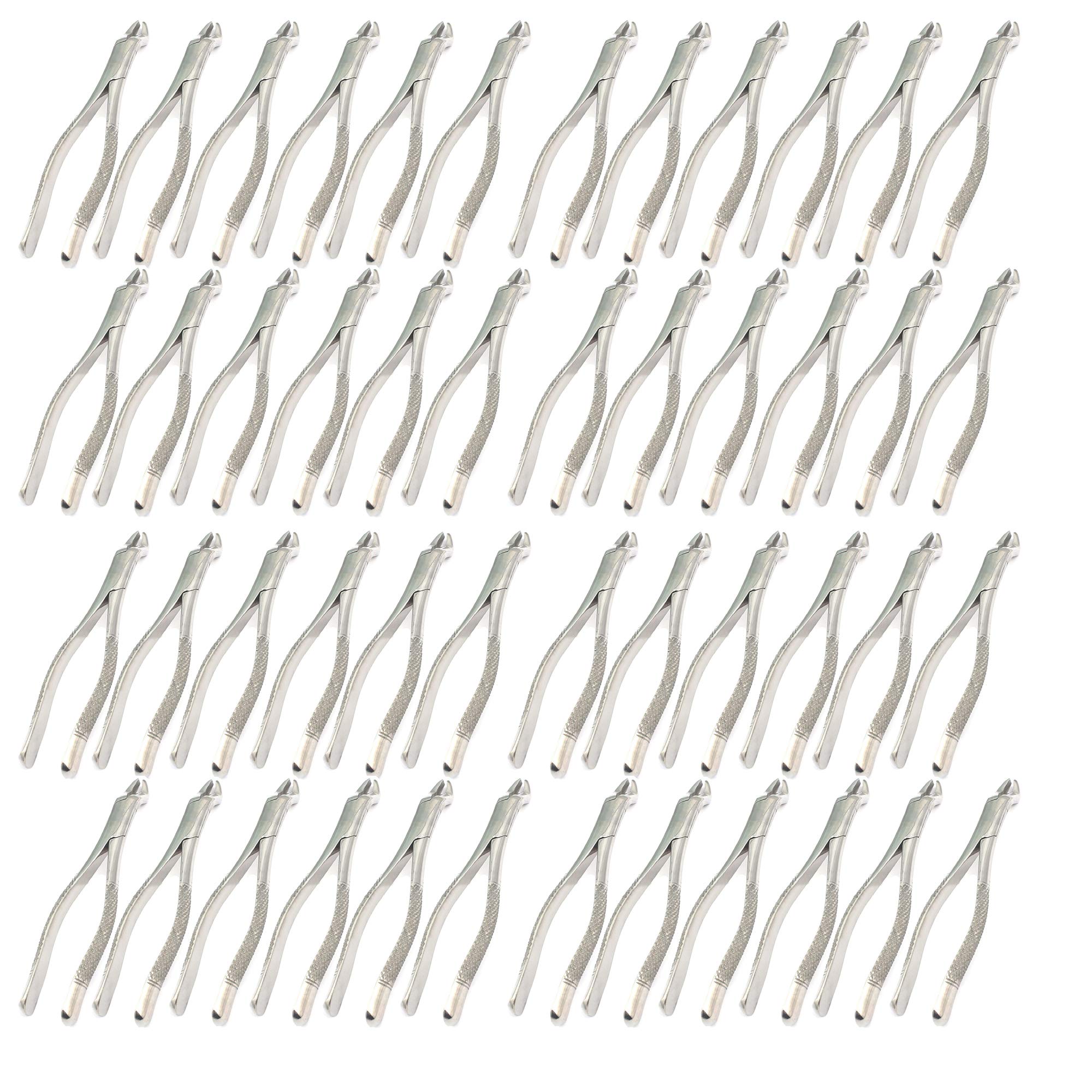 OdontoMed2011 Set Of 50 Dental Extracting Forceps 210 Dental Extraction Instruments ODM