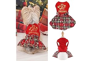 Christmas Outfits for Small Dogs