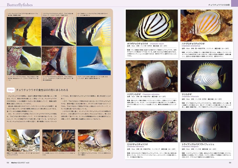 マリンアクアリスト(83) 2017年 05 月号 |本 | 通販 | Amazon
