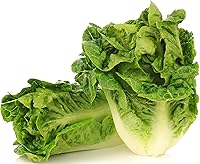 RDRSeeds 1000+ Little Gem Lettuce Seeds | Heirloom Non-GMO USA Grown Mini Romaine Heads 6" Tall