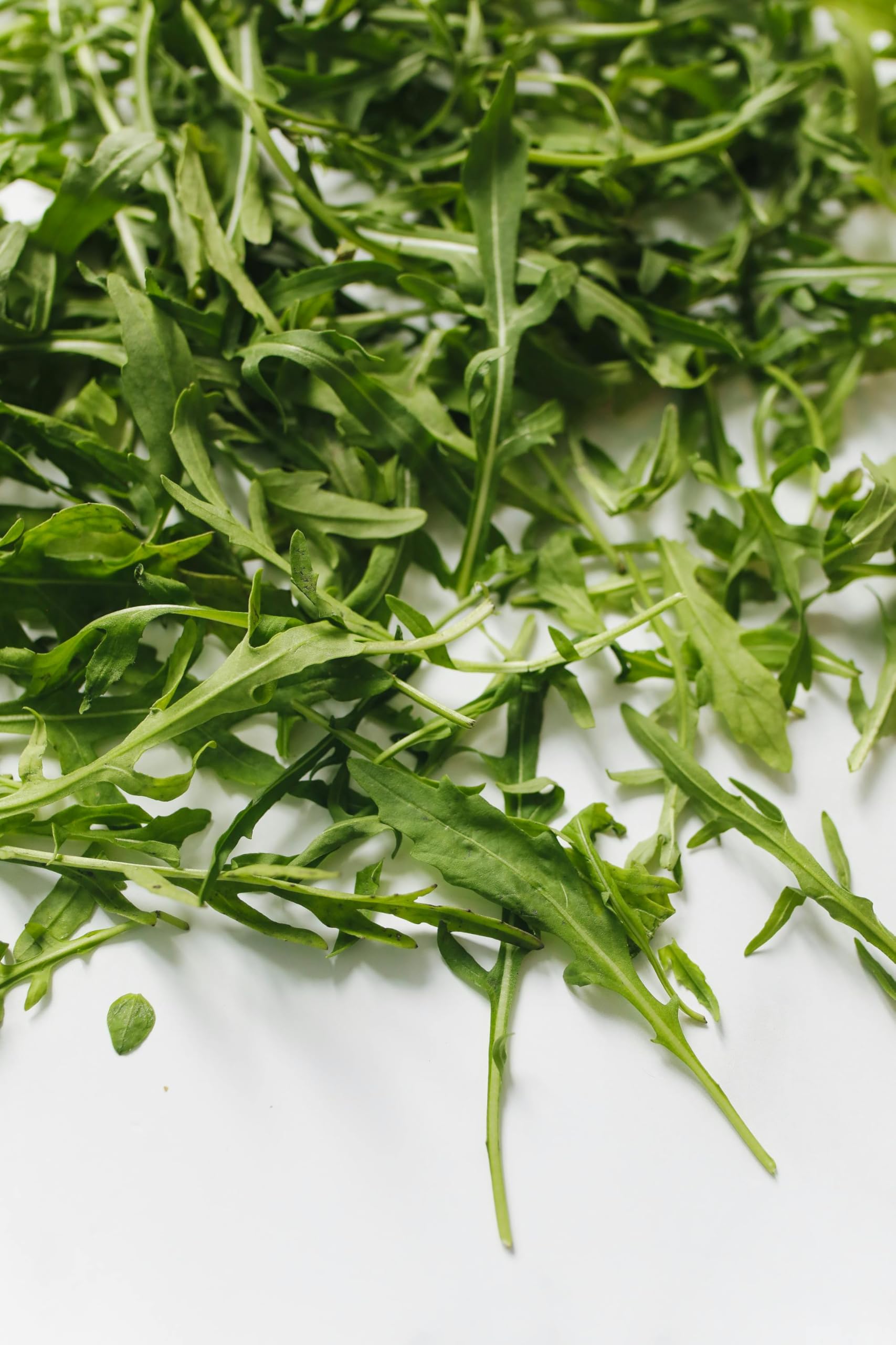 Rocket Salad Plug Plants Grow Your Own Salads (6)