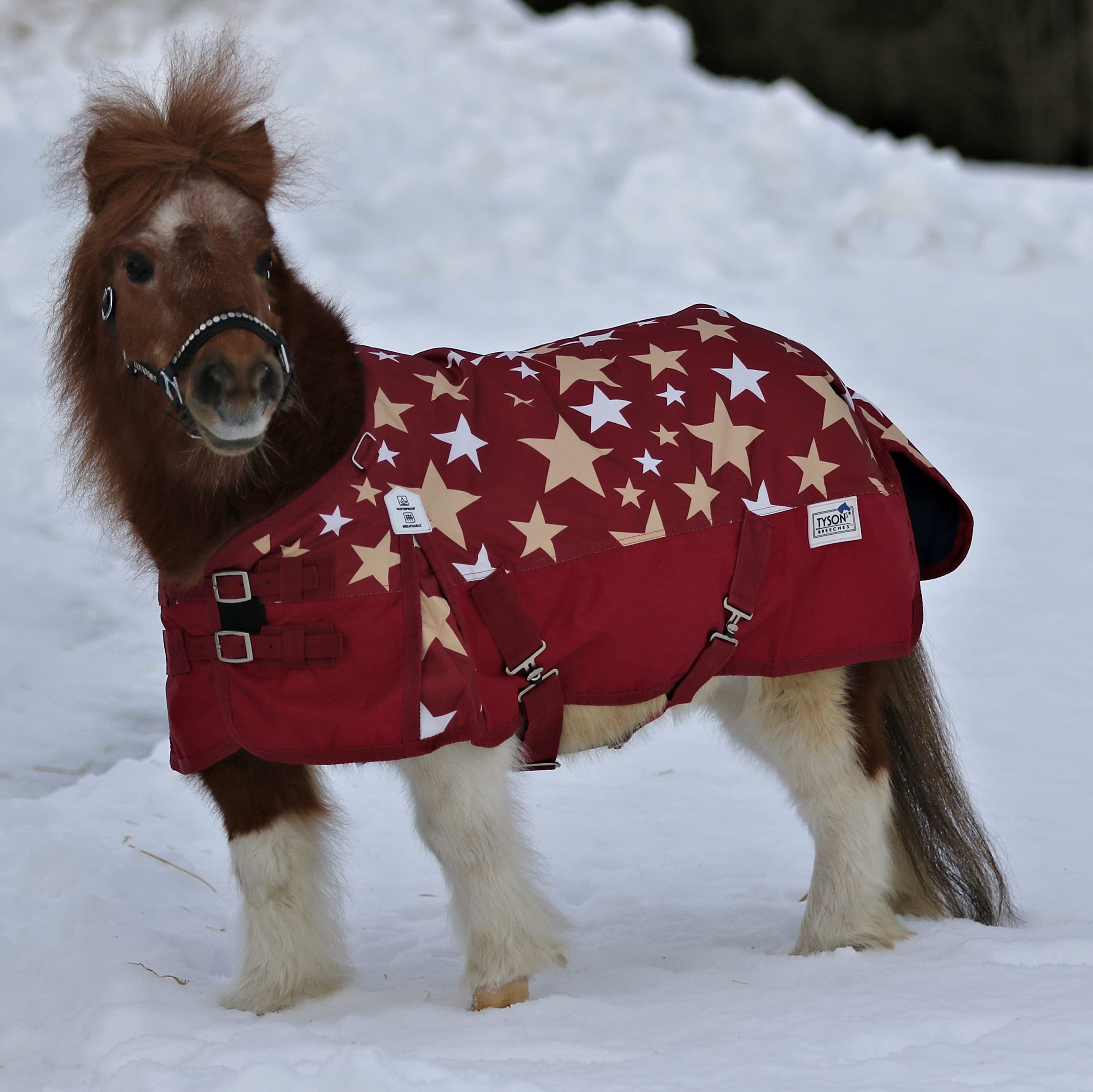 Regendecke Winterdecke Outdoor Decke Weidedecke 65 70 75 80 85 90 95 100 Weinrot Sterne 0 oder 200 Gramm Minishetty Minipony Mini Shetty Welsh Fleece Lining Thermodecke (0 Gramm Füllung, 100 cm)