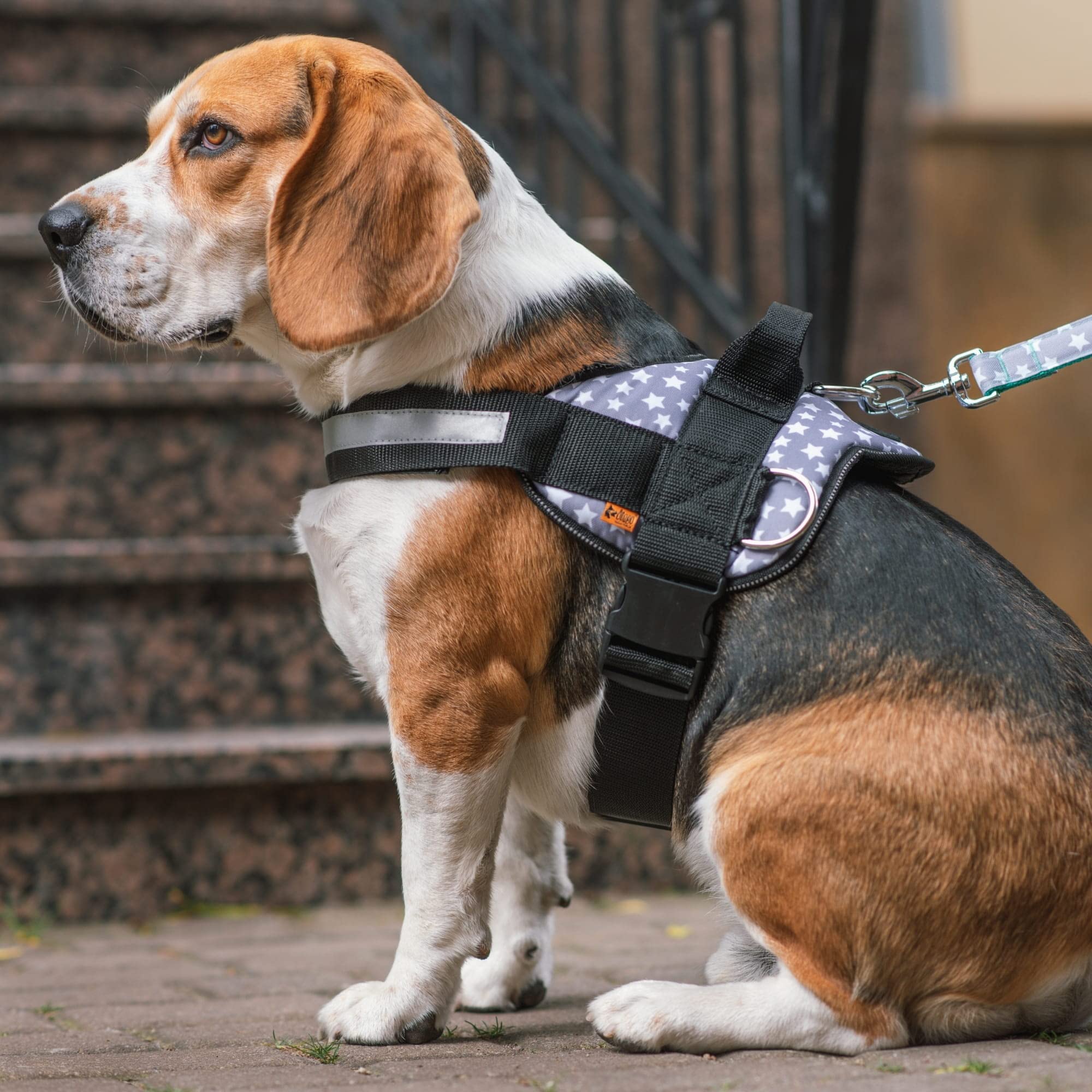 Dingo Patterned Harness for Dog Handmade in America Alaska Style 15817, Size 4 - Image 2