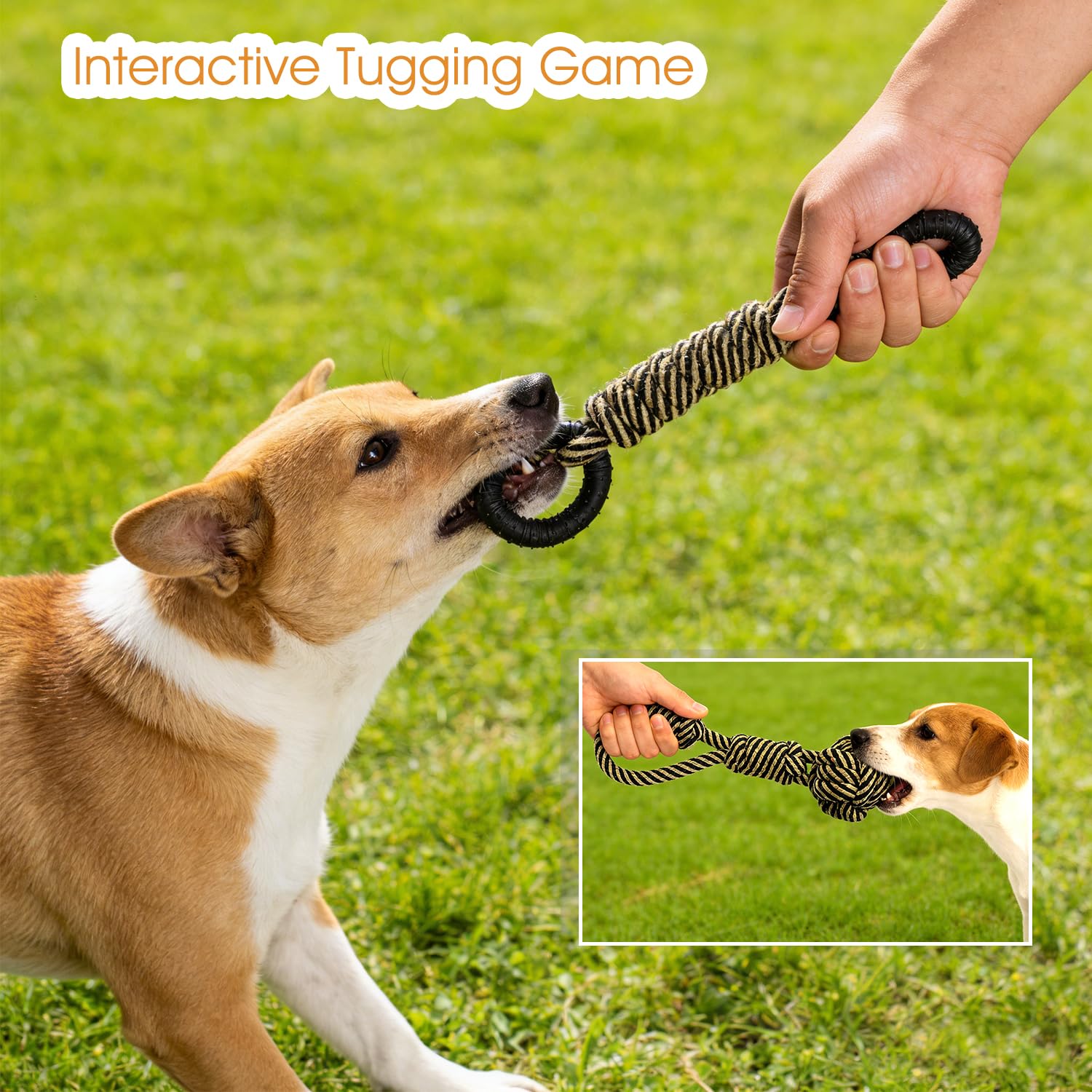 Waldseemüller Hundespielzeug – 9er-Pack Hundespielzeug für kleine und mittlere Hunde, Seil-Kauspielzeug-Set gegen Langeweile, interaktiver Ball für Welpen mit Aufbewahrungstasche