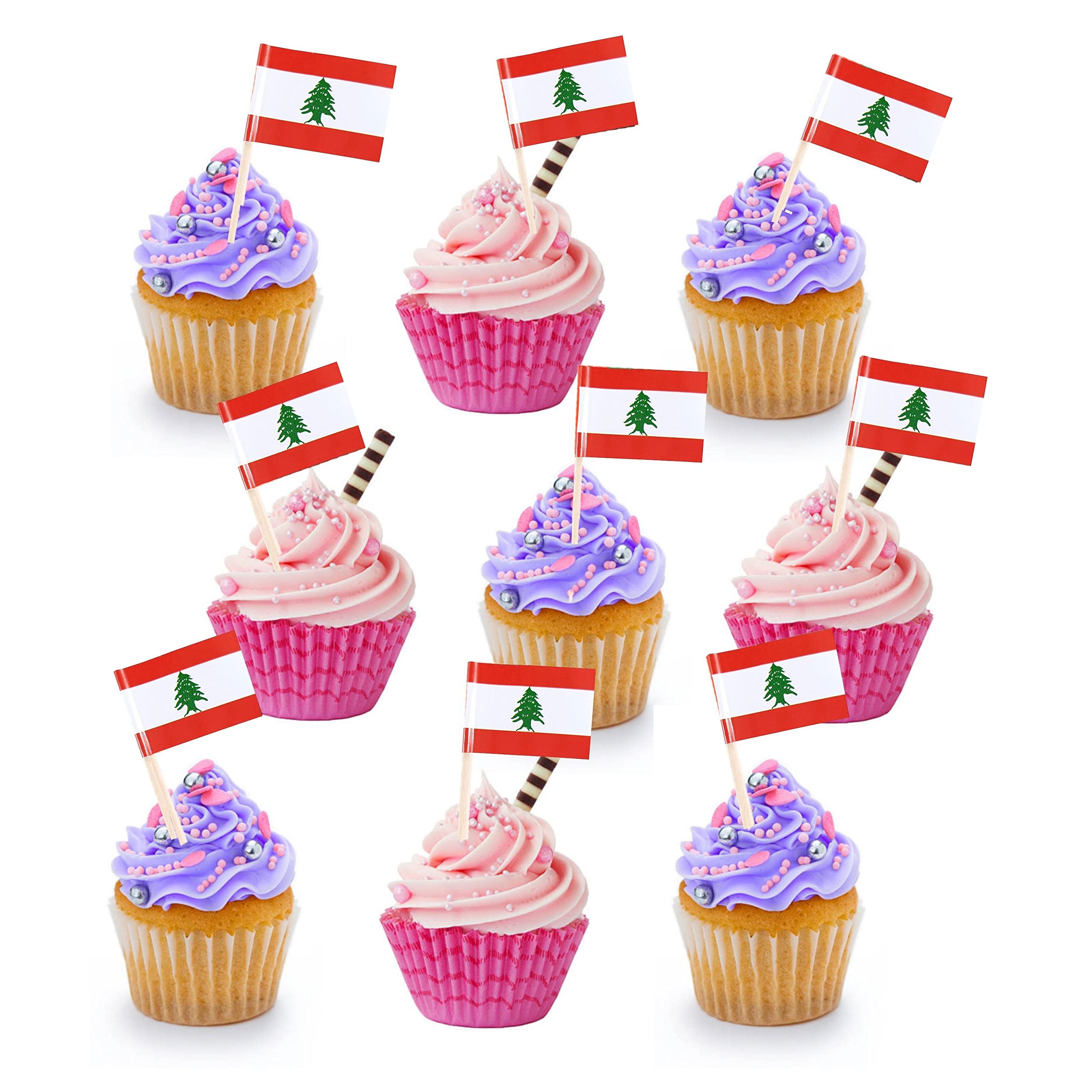 Flag Double Sided Cake Topper Countries Toothpick Flag UAE Saudi Egypt Morocco Pakistan India Lebanon UK Flag Day National Day Party Supplies Flag Decoration for Baby Birthday Party (Lebanon)
