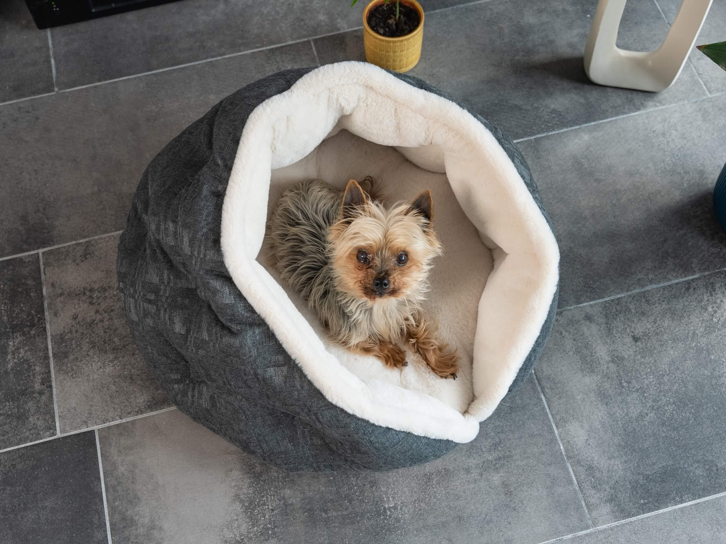 TrendPet LunaNest - kuscheliges Nest, Hundebett, Katzenbett - Für Hunde und Katzen (Beige)