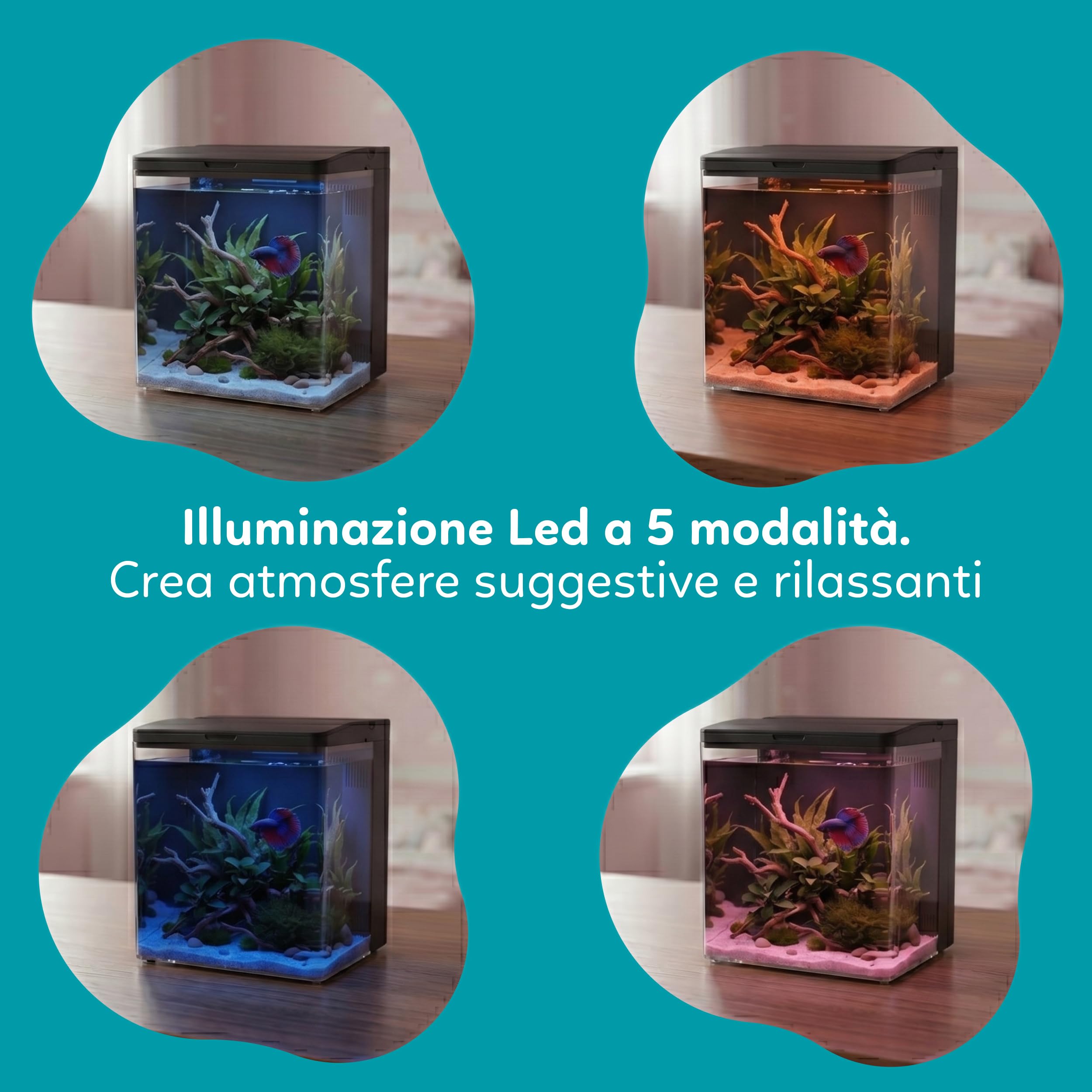 AQPET NEYA Acquario da Scrivania con Filtro e Pompa Inclusi, LED 5 Modalità e Porte USB – Mini Acquario in Acrilico con Coperchio Apribile, Ideale per Betta, Caridine e Piante Acquatiche 5lt (Nero)
