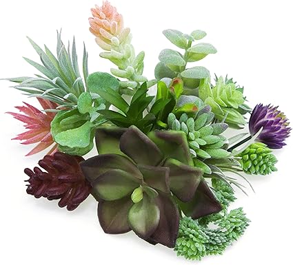 Amazon 人工多肉植物 フェイクアソート 16個 鉢無し多肉植物 アレンジメント テクスチャ加工 サボテンの茎ピック フェイクサボテンアロエ多肉植物 バラエティフローラル装飾ブーケパック ギフトバッグ付き 人工観葉植物 オンライン通販