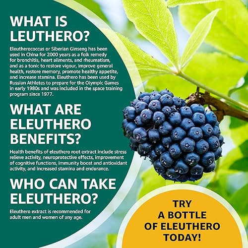 Miniatura 6 de TAIGASEA Extracto de raíz de Eleuthero silvestre, mezcla de extracto de hierbas con Eleutherococcus para inmunidad y forma física, resistencia y