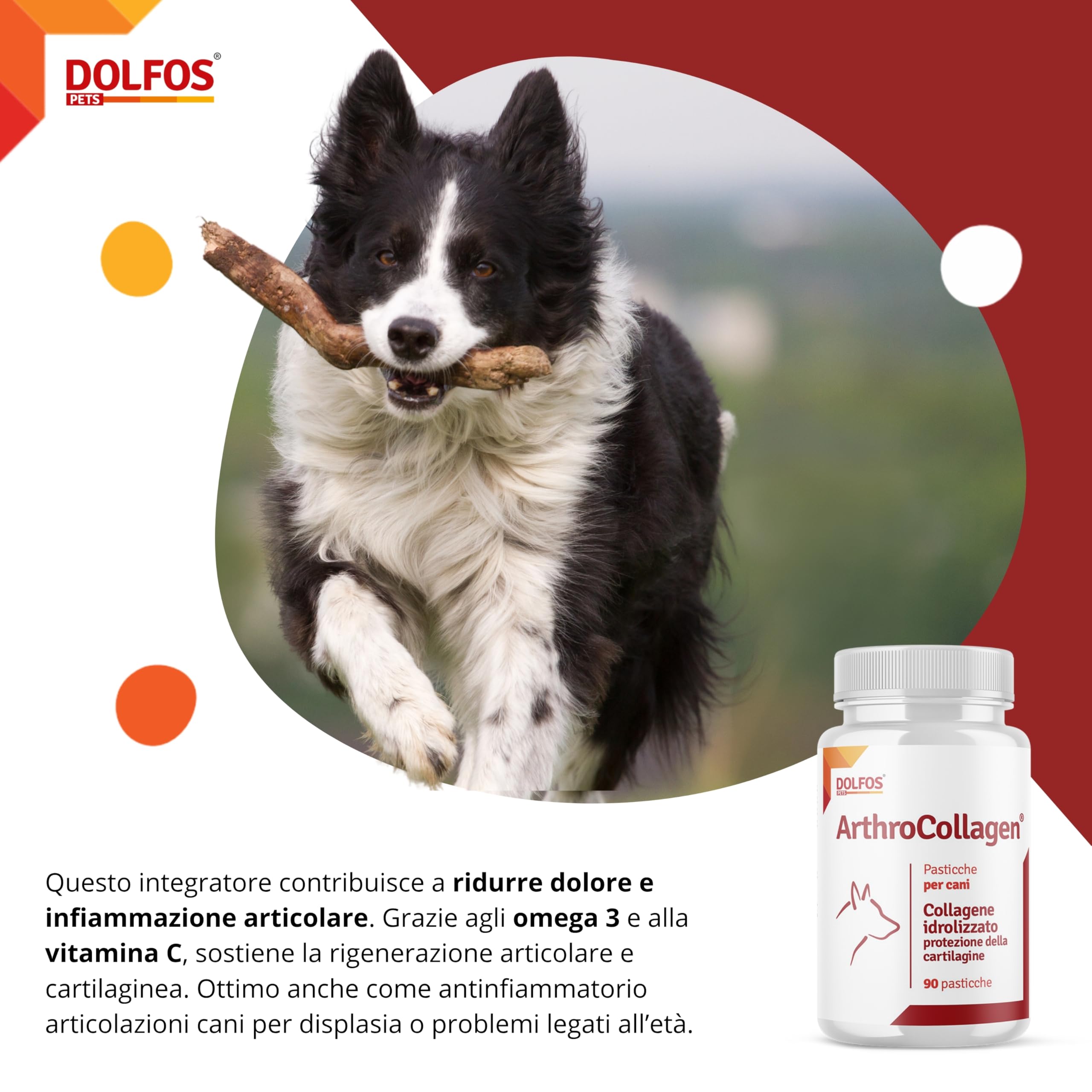 Dolfos ArthroCollagen Integratore Articolazioni Cane, 90 Cpr Masticabili, Joint Care, Integratori per Cani con Collagene, Omega 3, Vitamine, Antinfiammatorio Articolazioni Cani