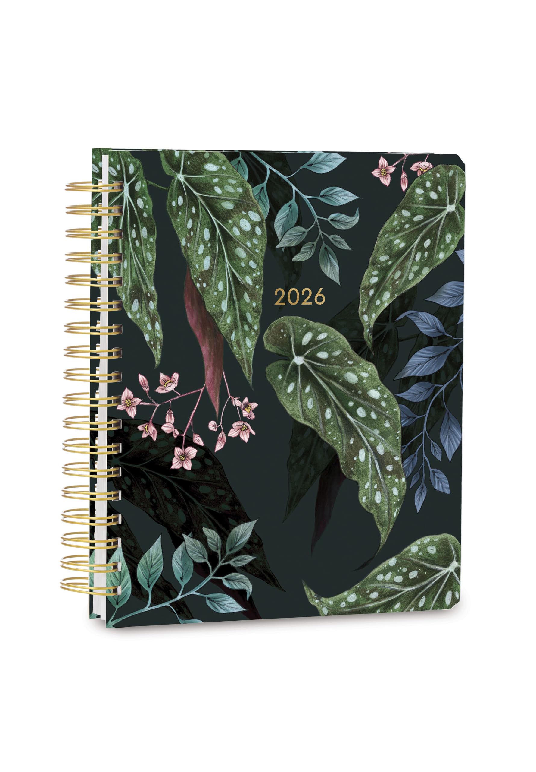 健康・医学 Year Note 2026 Amazon.com : High Note Hardcover Academic Planner 2025-2026