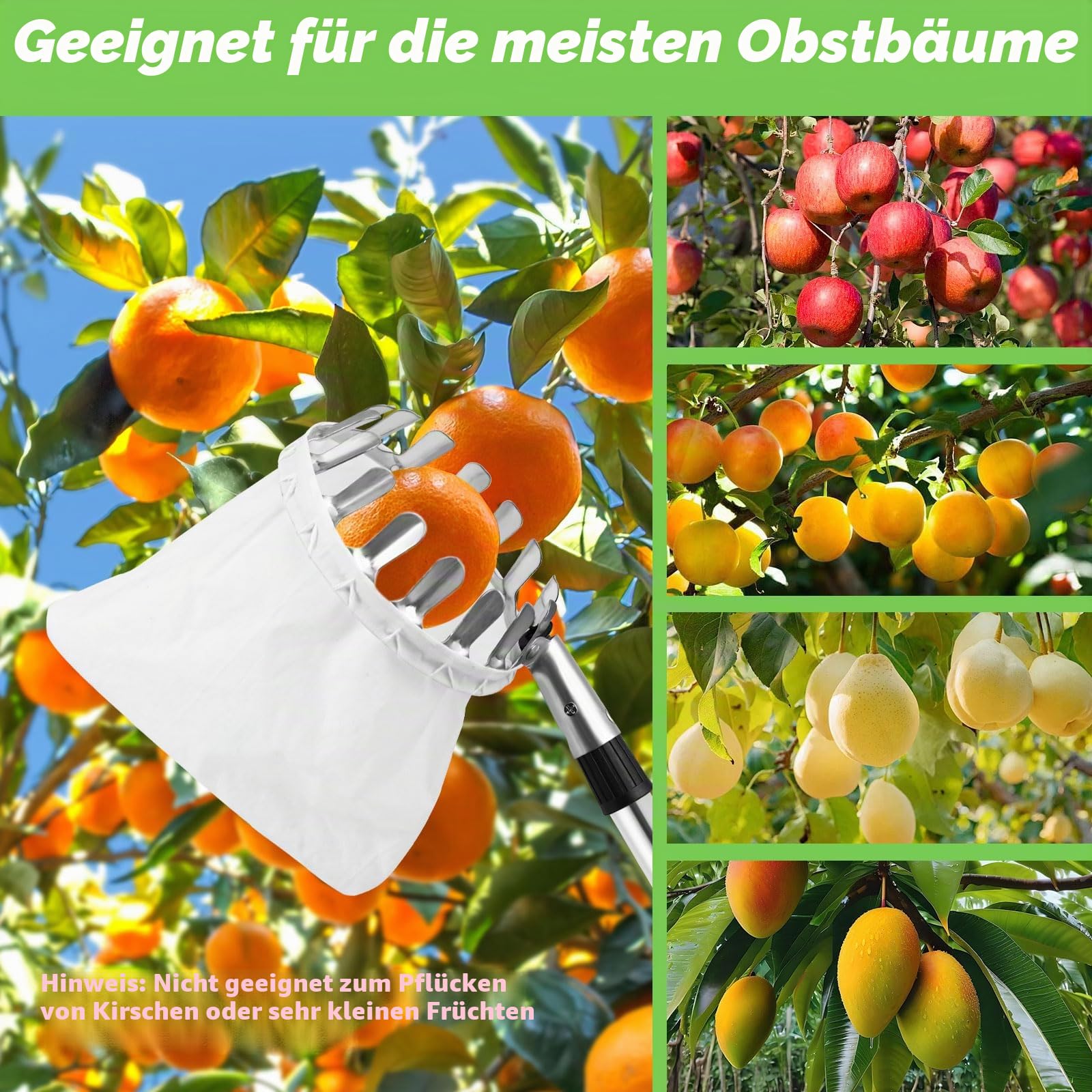 4.2M Obstpflücker mit Teleskopstiel, 10 Abschnitte Apfelpflücker mit Stoffbeutelhalter und Schnur-Aufbewahrungstasche, Zum Pflücken von Früchten aus hohen Bäumen