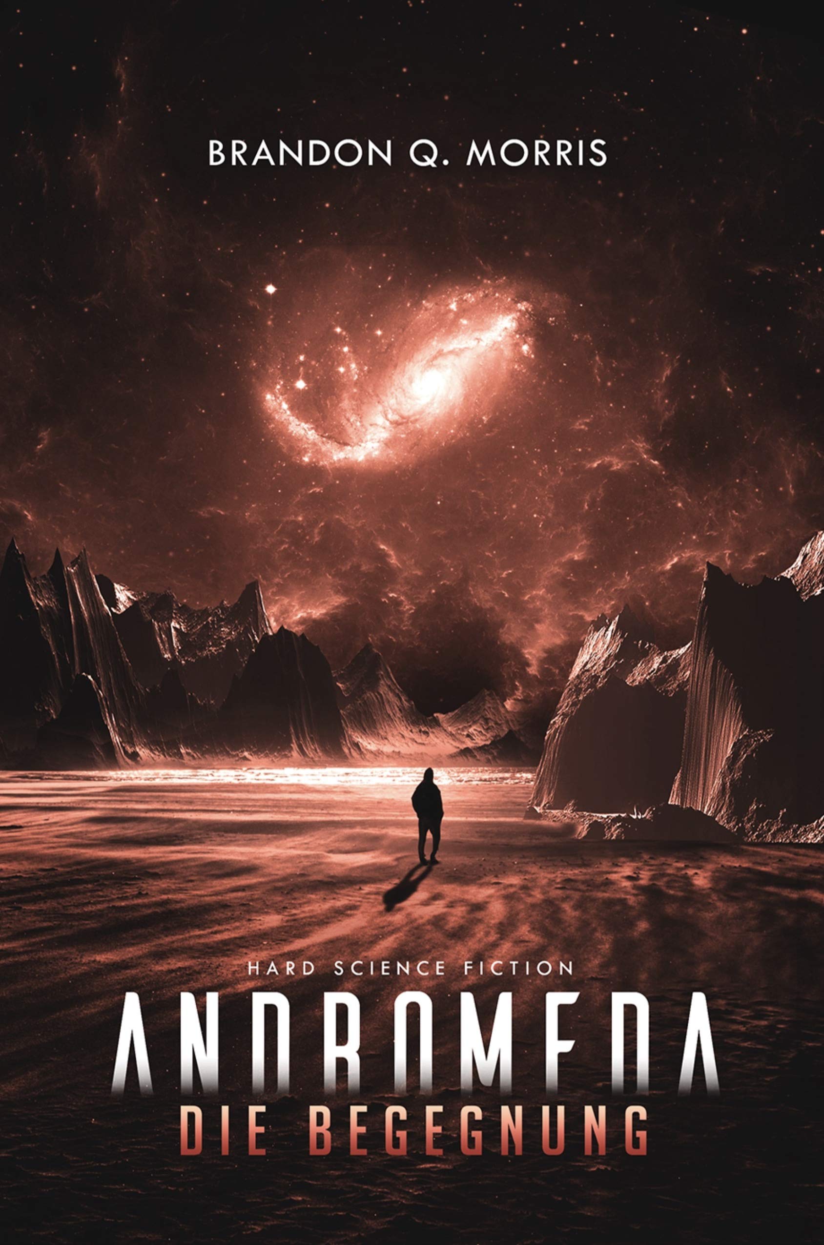 Cover of The Encounter