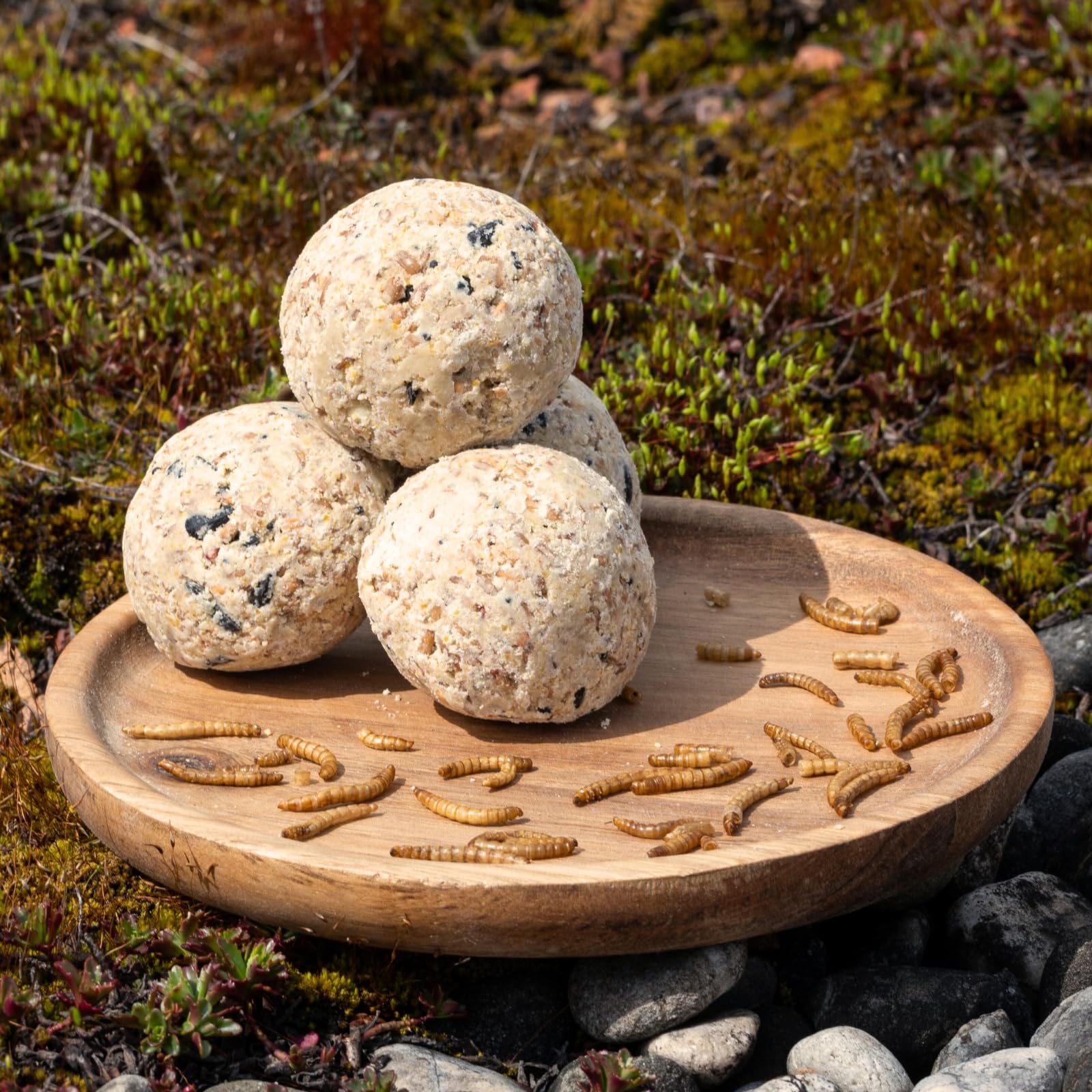 Lyra Pet® 200 STK. Meisenknödel Protein Boost ohne Netz à 90 g = 18 kg | Fetthaltiges Vogelfutter mit Mehlwürmern - Proteinreiche Energiequelle für Wildvögel - Nährstoffe für Sommer & Winter