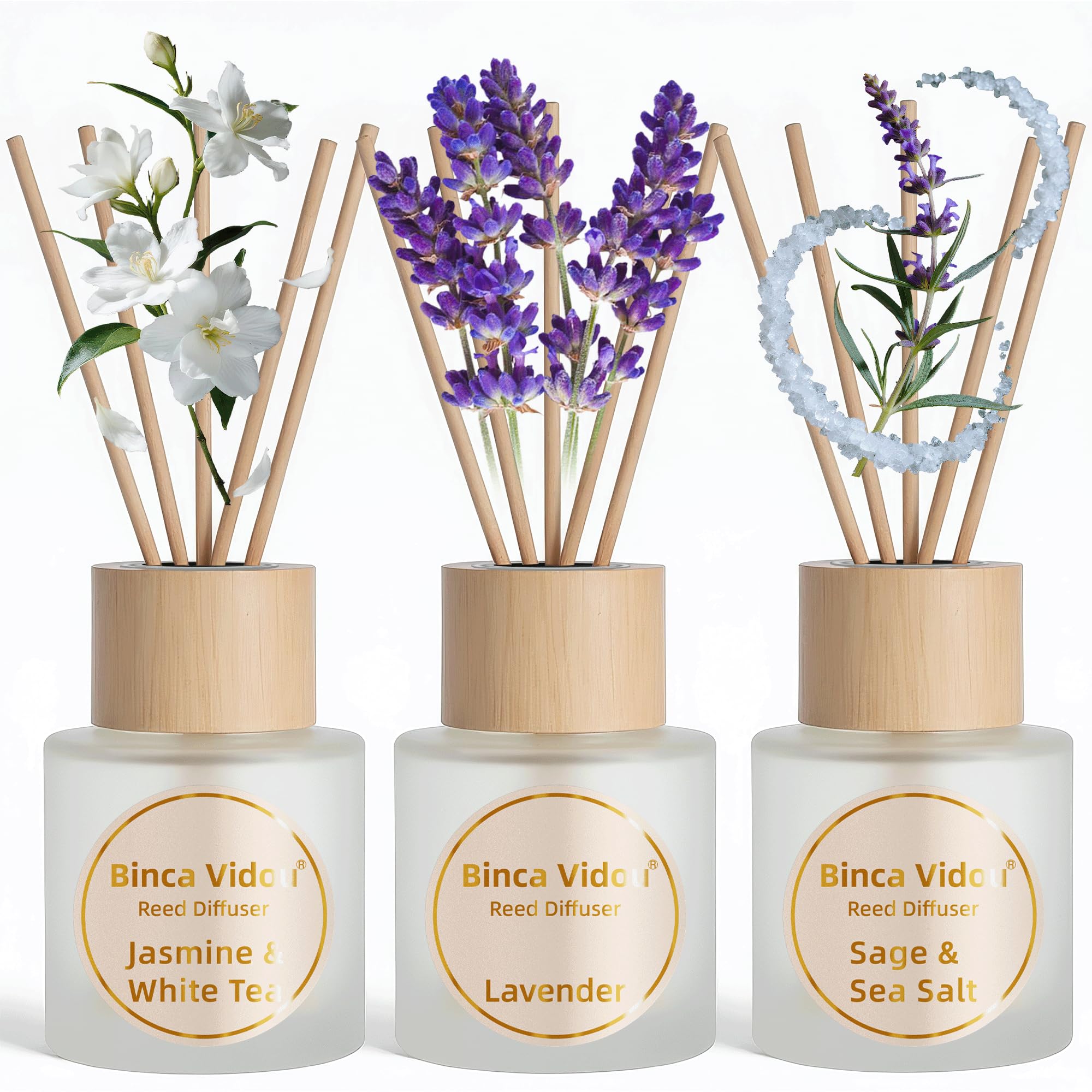 Binca Vidou Reed Diffuser Set of 3, Lavender, Jasmine & White Tea, Sage & Sea Salt Natural Scent Oil Diffusers with Sticks for Home Office Bathroom Aromatherapy Decor 50 ml x 3