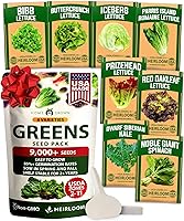 Vista 65 de HOME GROWN Semillas de eneldo sin OMG para plantar 1,014 ramos de semillas de eneldo y semillas de hierbas tradicionales para plantar al aire libre