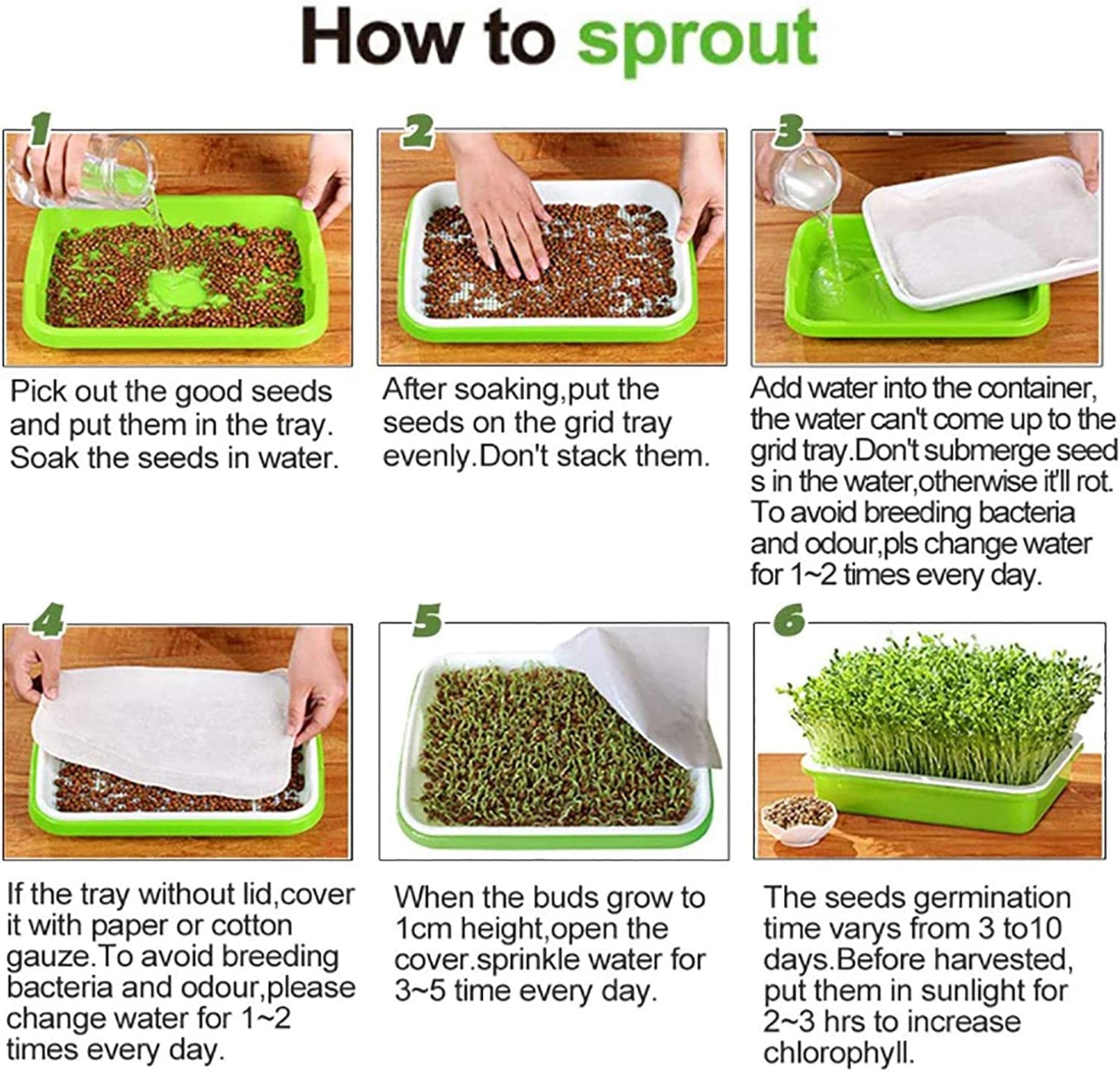 Bandeja De Germinación De Semillas De 4 Piezas, Bandeja De Germinación De Brotes De Soja, Kit De Germinación Cubierto, para La Germinación De Semillas Súper Pequeños Agujeros