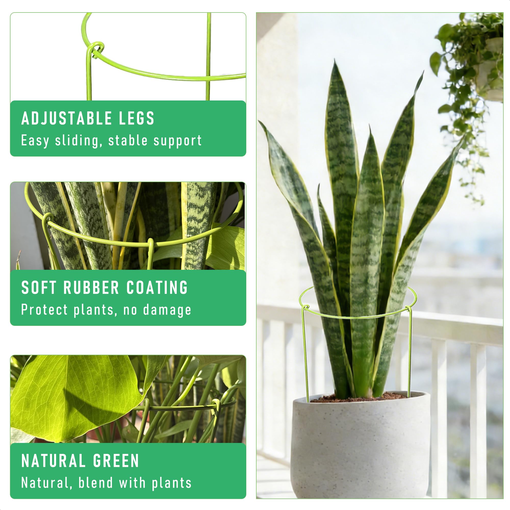 submerged pothos in fish tank Live Pothos Cuttings for Aquarium – Natural Nitrate Absorber & Algae  Control – Easy Rooting Aquarium Plant – 4–6 Inch Stem – Garage Aquatics