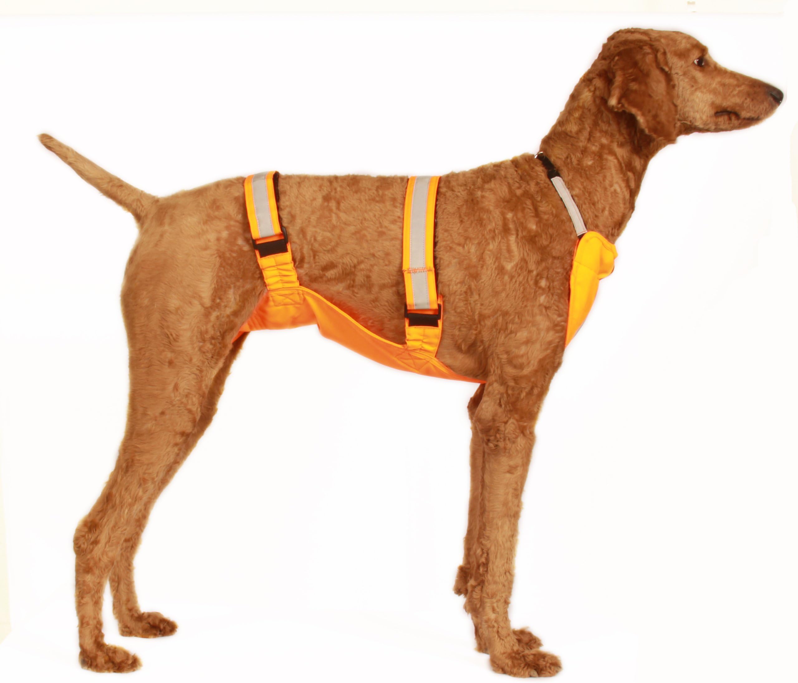 SportShield 15 by 19-Inch Large Pet Hunting Hiking Underbelly Walking Vest, 45 to 60-Pound, Bright Orange