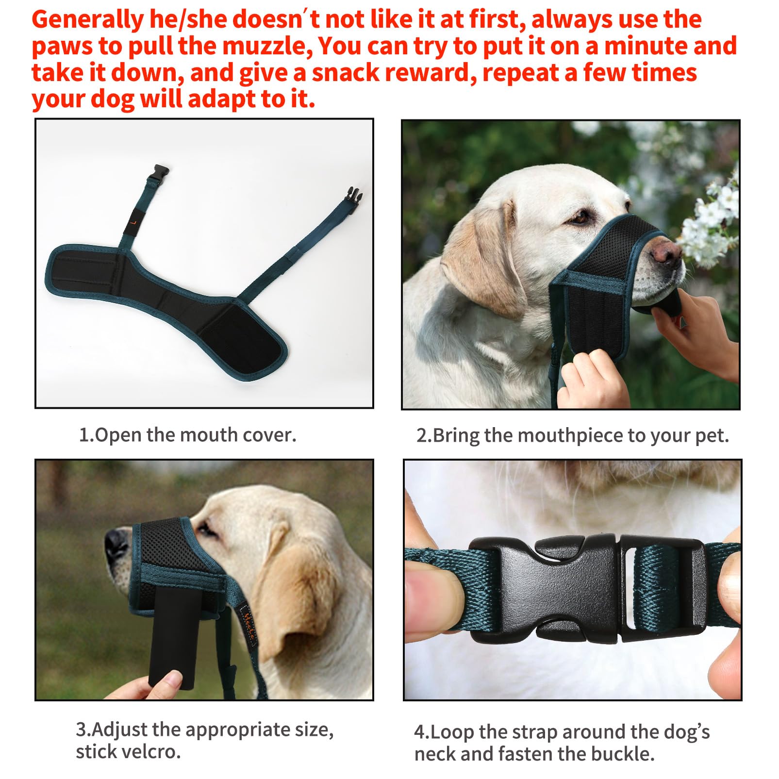 HEELE Museruola Cane, Museruola per Cane Antiabbaio in Morbida Rete Traspirante con Anello Regolabile per Cani di Taglia Grande, Antimorso Anti-Masticare Addestramento Animali Museruola, Verde, XL