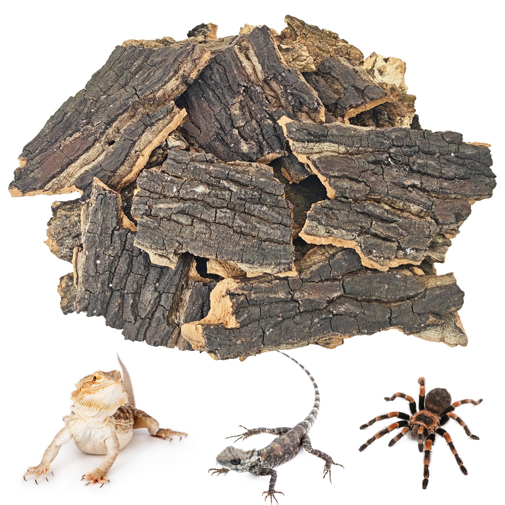 BNOSDM Cork Bark for Reptiles 2 LB Bulk Natural Cork Flats for Terrarium