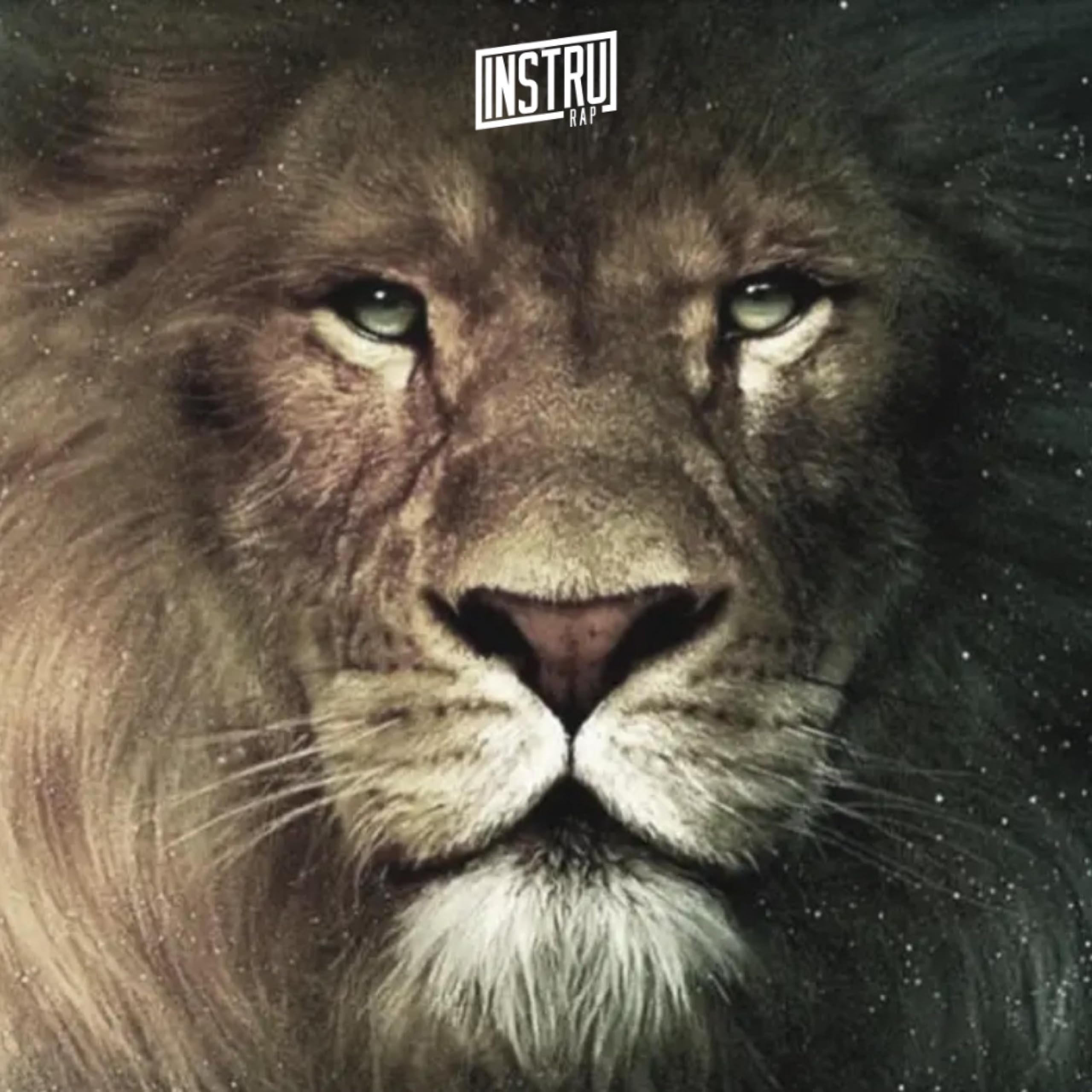 InstruRapOfficiel