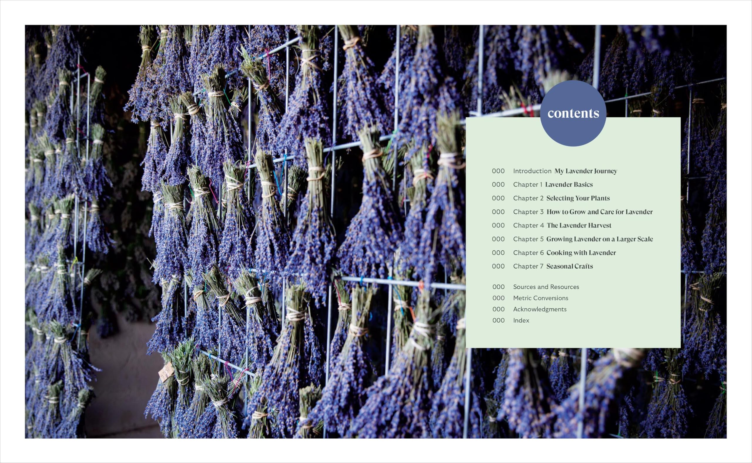 Lavender for All Seasons: A Gardener's Guide to Growing and Creating With Lavender Year-Round