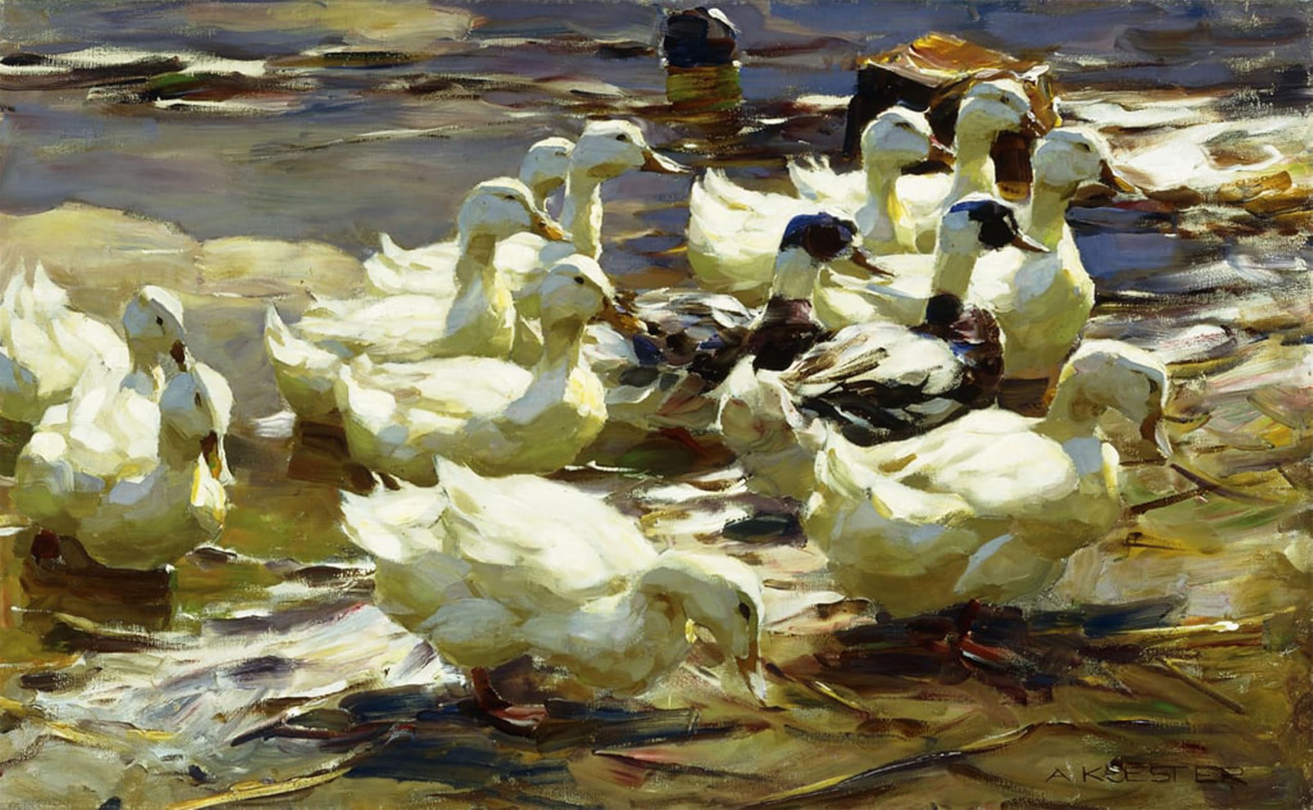 ARTXLXXBN Famous Painting Art Wall Decor Abstract Art Picture Ducks in the Pond by Alexander Koester Animal Pictures for Home Decor 60x90cm