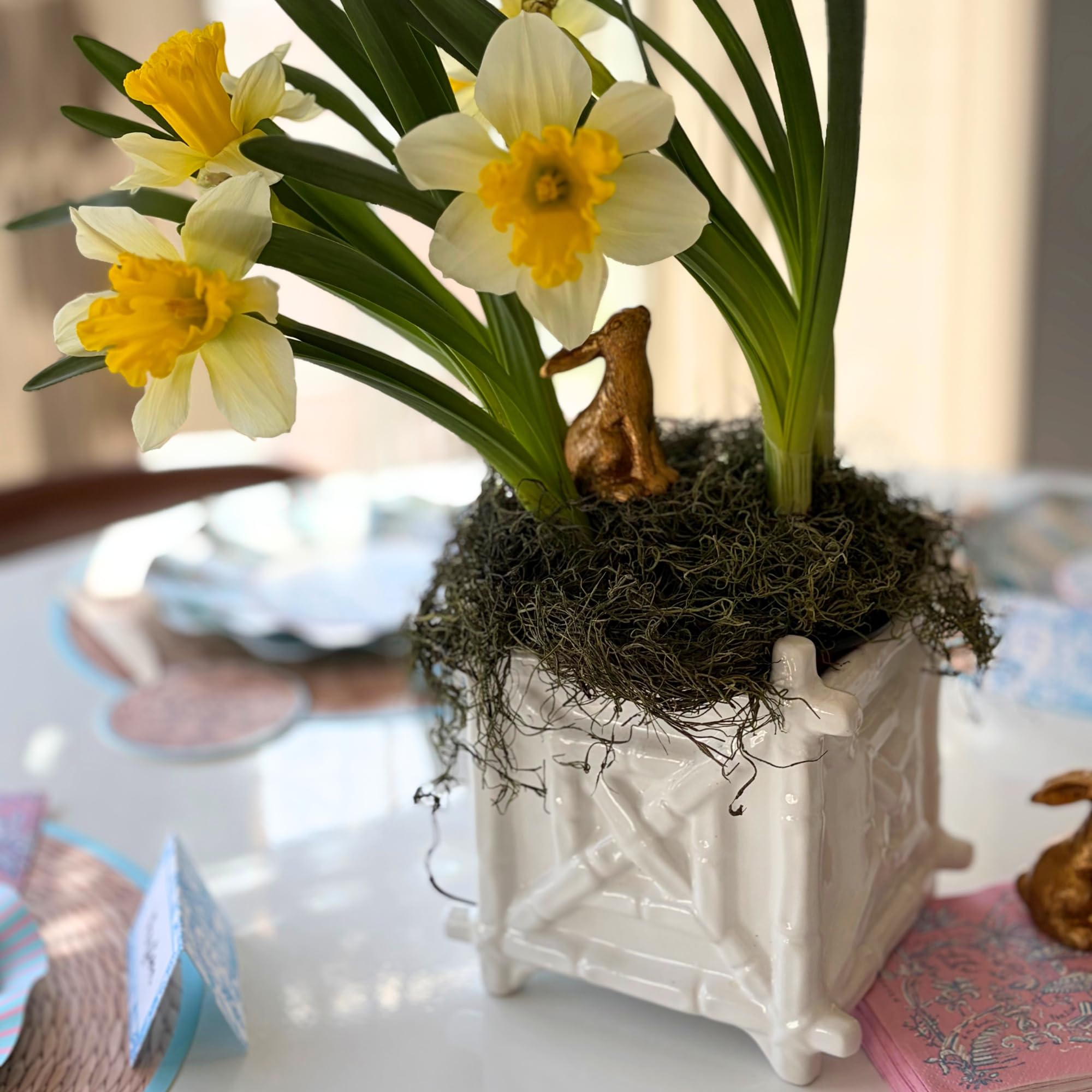Amazon.com : Lilly Pulitzer Small Planter for Indoor Plants or