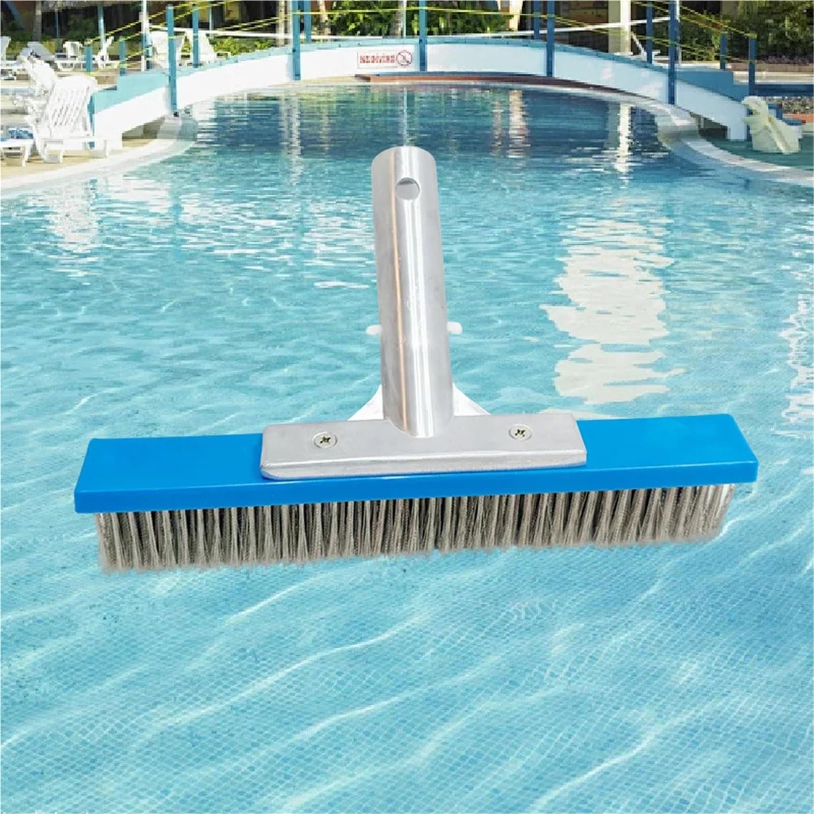 Cepillo De Piscina Cepillo for Piscina de Acero Inoxidable 10 Pulgadas