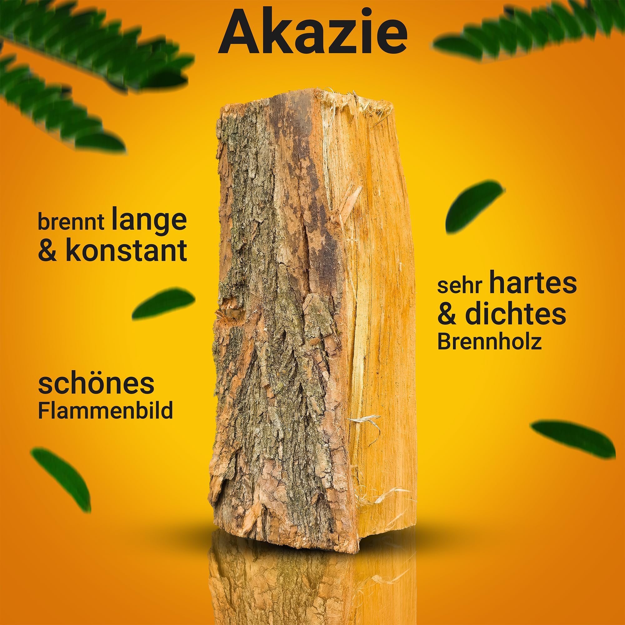 Brennholz Akazie 33 cm 1,8 RM TOP Kaminholz Scheitholz Kamin Ofen Holz Feuerschale Lagerfeuer trocken Premium | 1 x Holzboxen | Energie Kienbacher