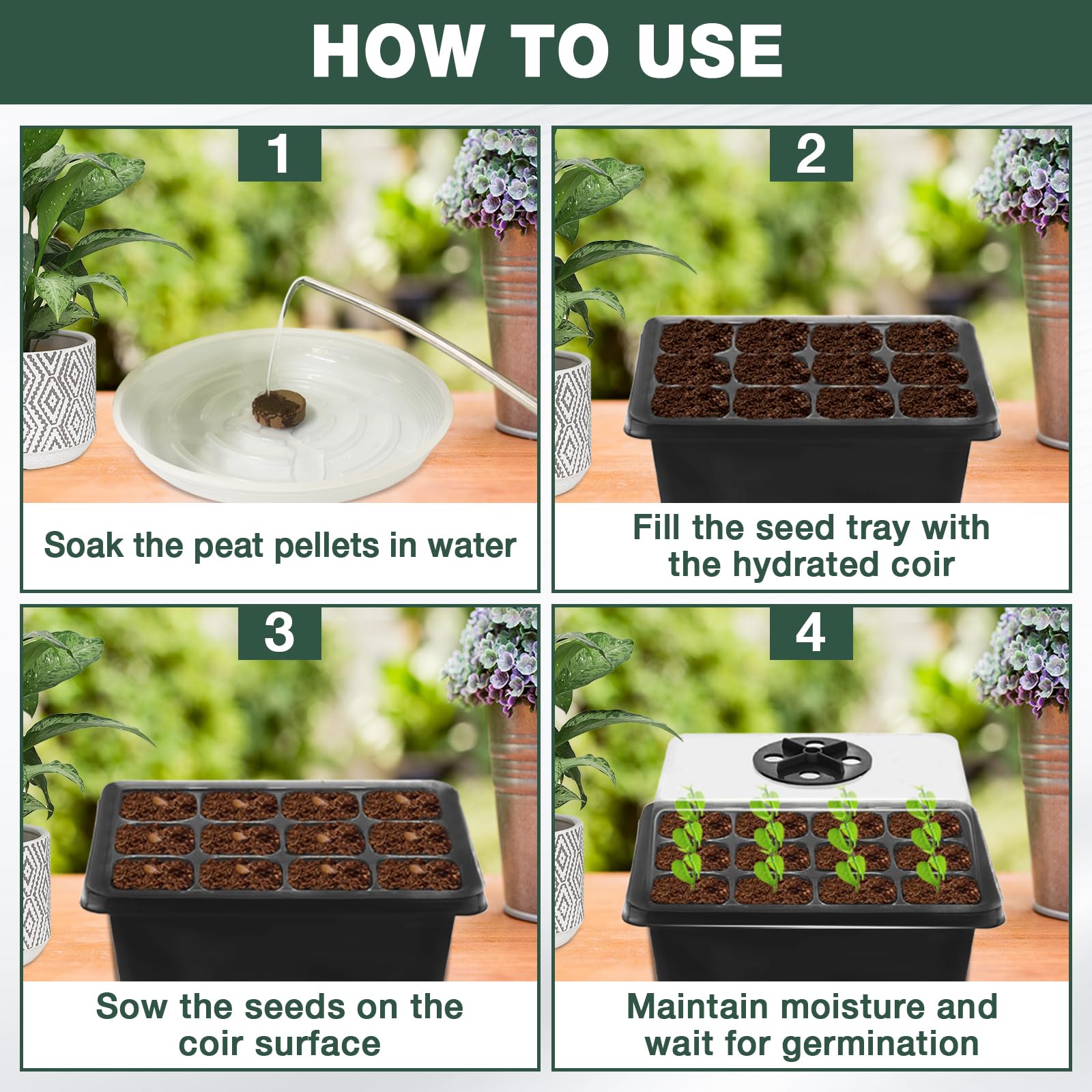 Amazon.com : ZeeDix 6 Set Seed Starter Tray Kits, 6 Pack Seed
