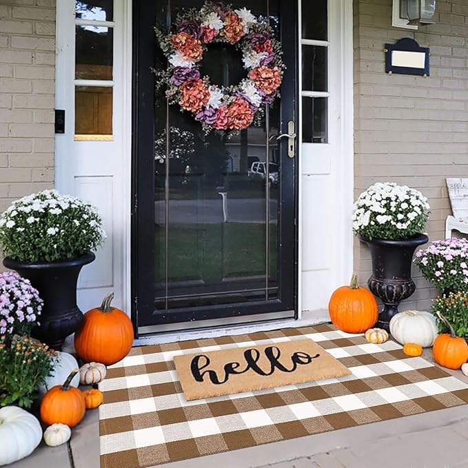 Plaid outdoor rug for layered front door look
