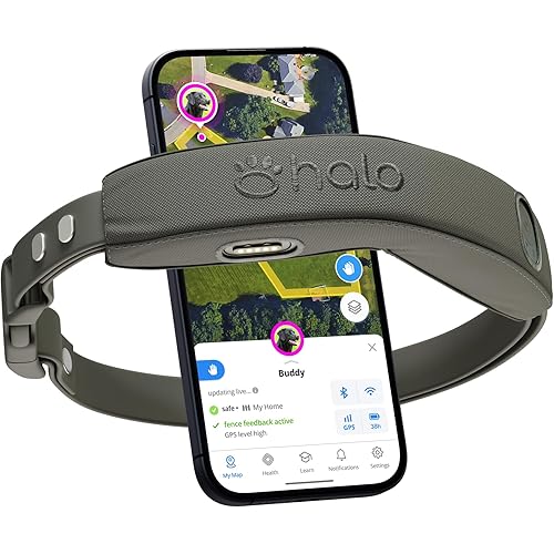 Halo Collar 4, GPS Wireless Dog Fence & Dog Training Collar with GPS Tracker, Subscription Required, Waterproof, Graphite, One Size