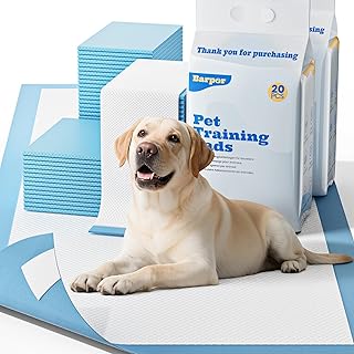 Trainingspads für Hunde 60x90cm – 40 Stück Extra Große PIPI Matten, Super Saugfähig & Auslaufsicher, 6-lagige Einweg Pads, Schnell Trocknend, Anti-Rutsch, Ideal für Große Hunde Indoor